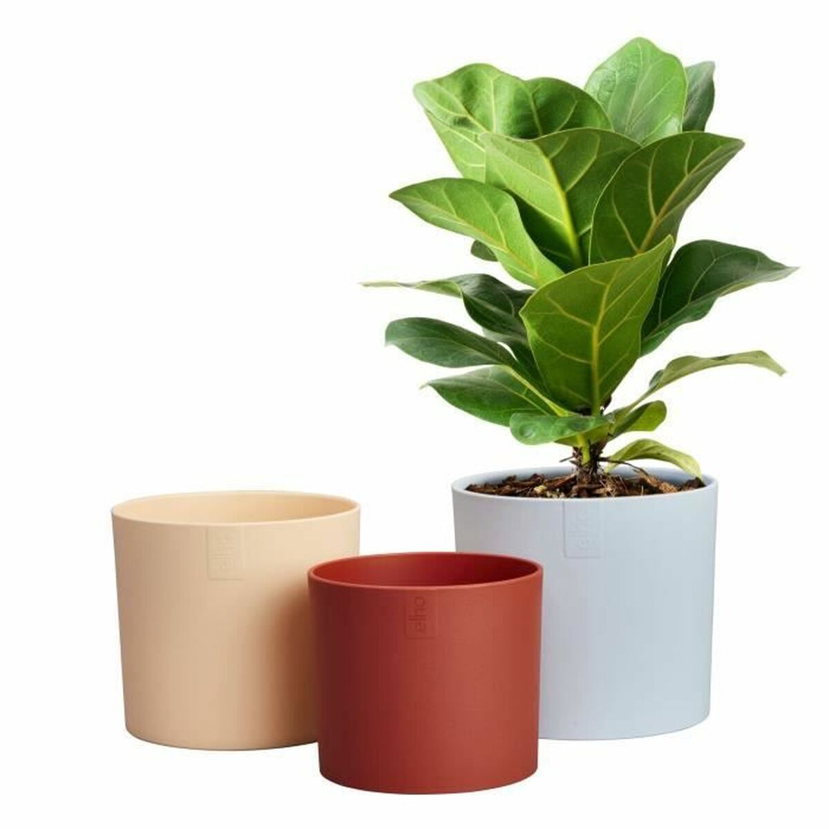 Plant pot Elho