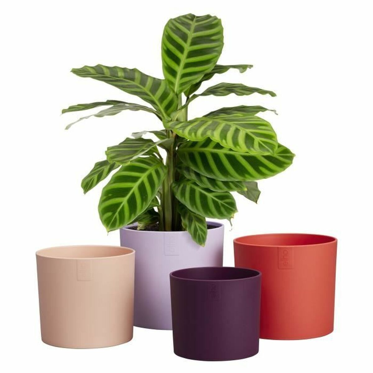 Plant pot Elho