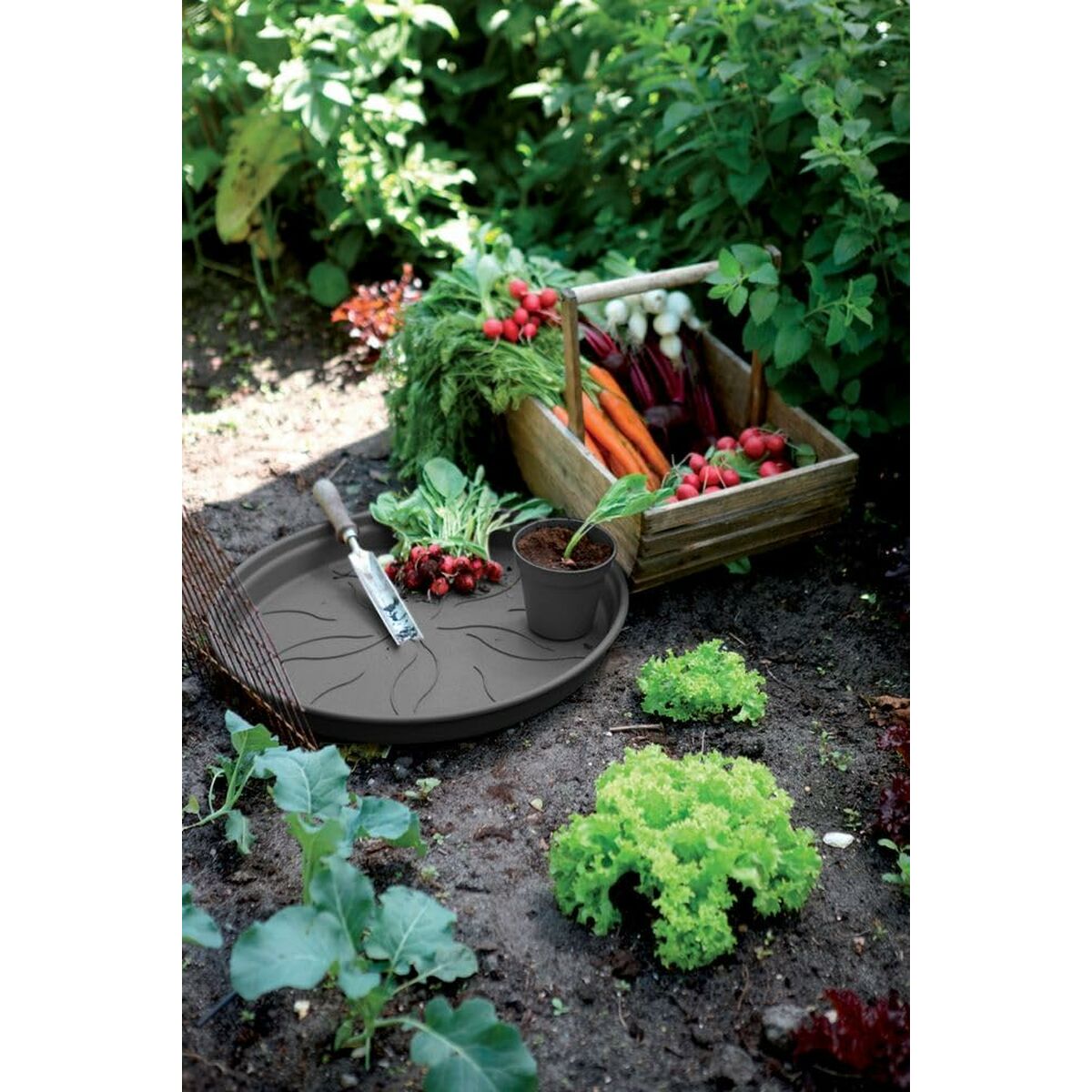 Plant pot Elho Black Plastic Circular