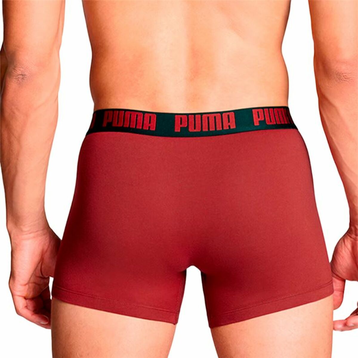 Men’s Boxer Shorts Puma burgundy  Red