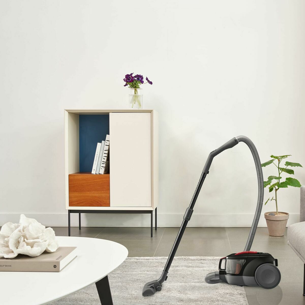 vacuum cleaner LG VC5506NHTCR Black 650 W