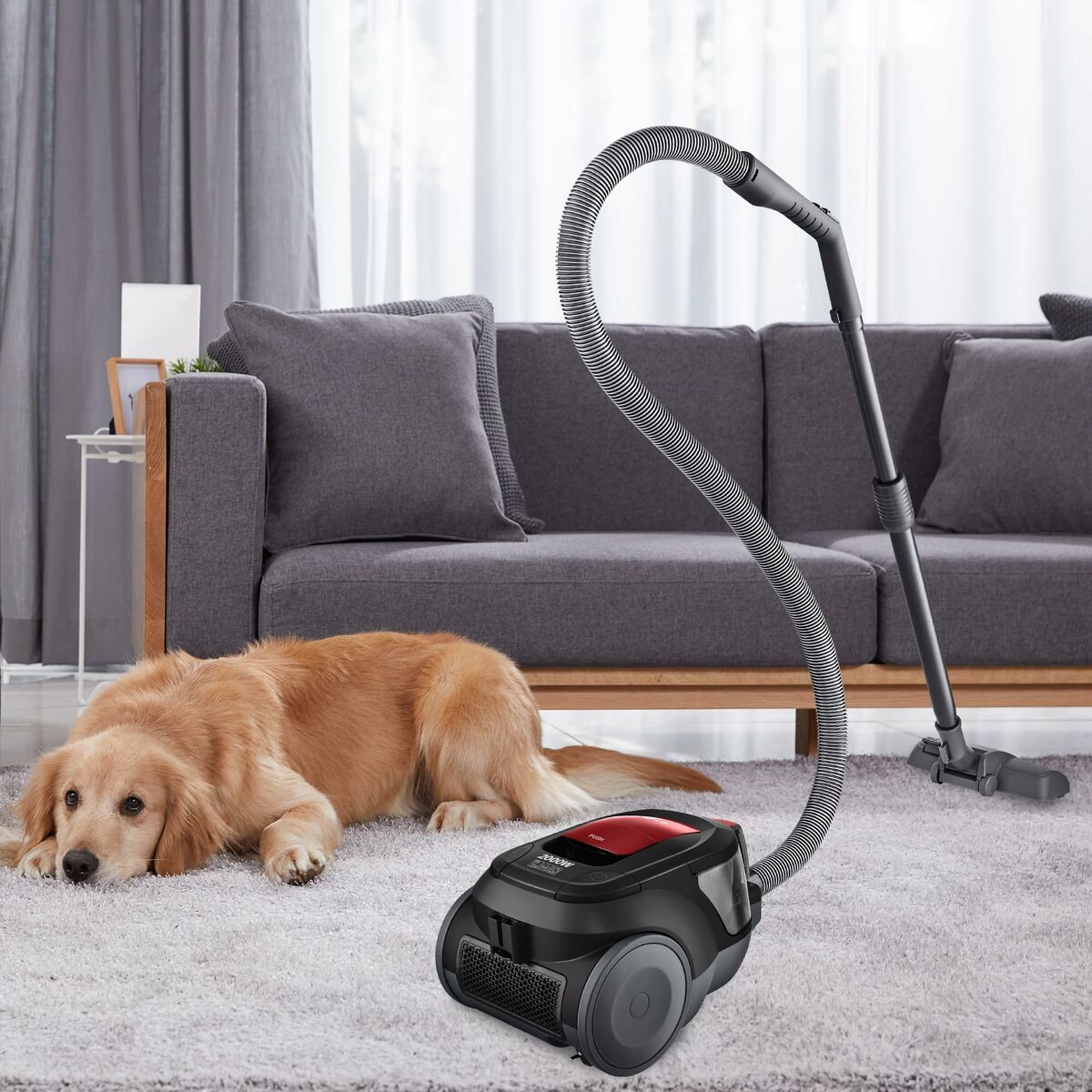 vacuum cleaner LG VC5506NHTCR Black 650 W