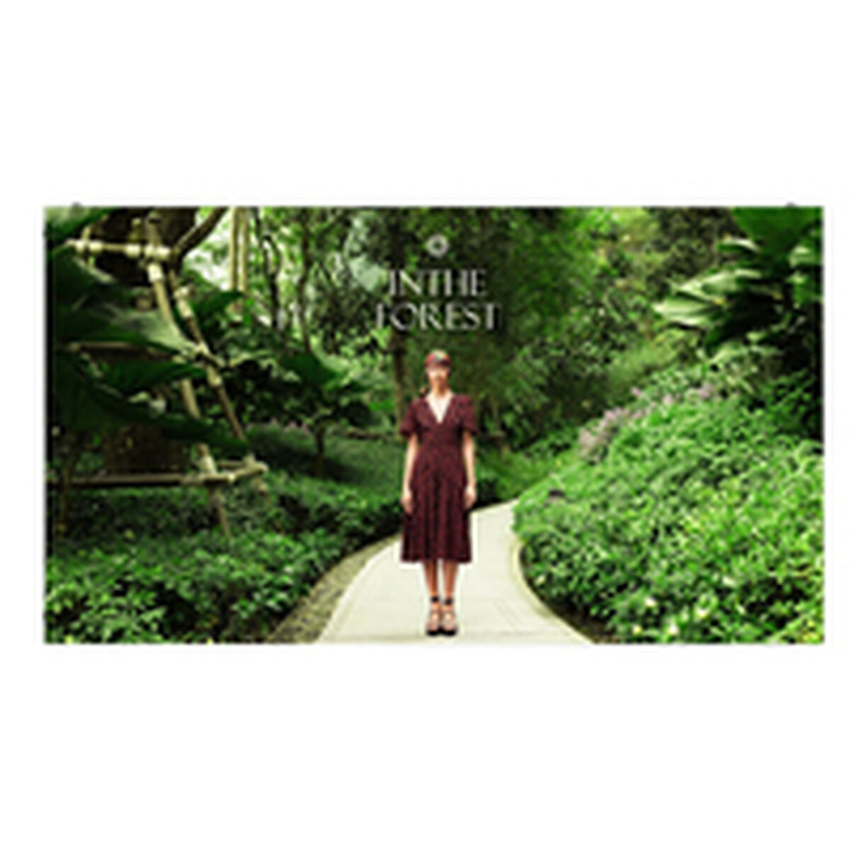 Videowall Monitor LG LED CABINET 1.5 4K Ultra HD