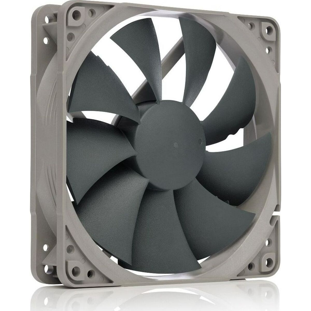 Box Ventilator Noctua NA-FK1                           12 cm
