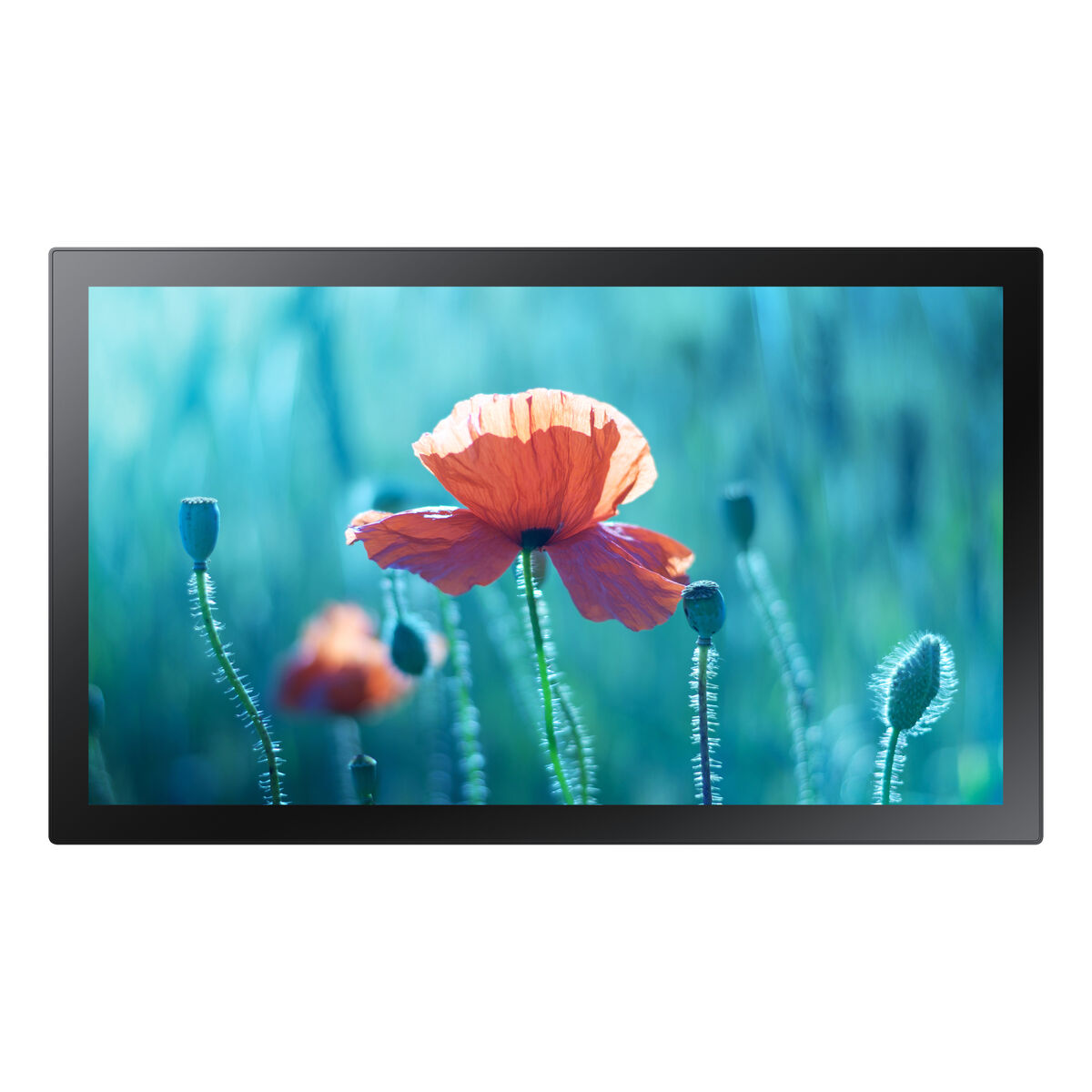 Videowall Monitor Samsung LH13QBRTMGCXEN Full HD 13″ 75 Hz