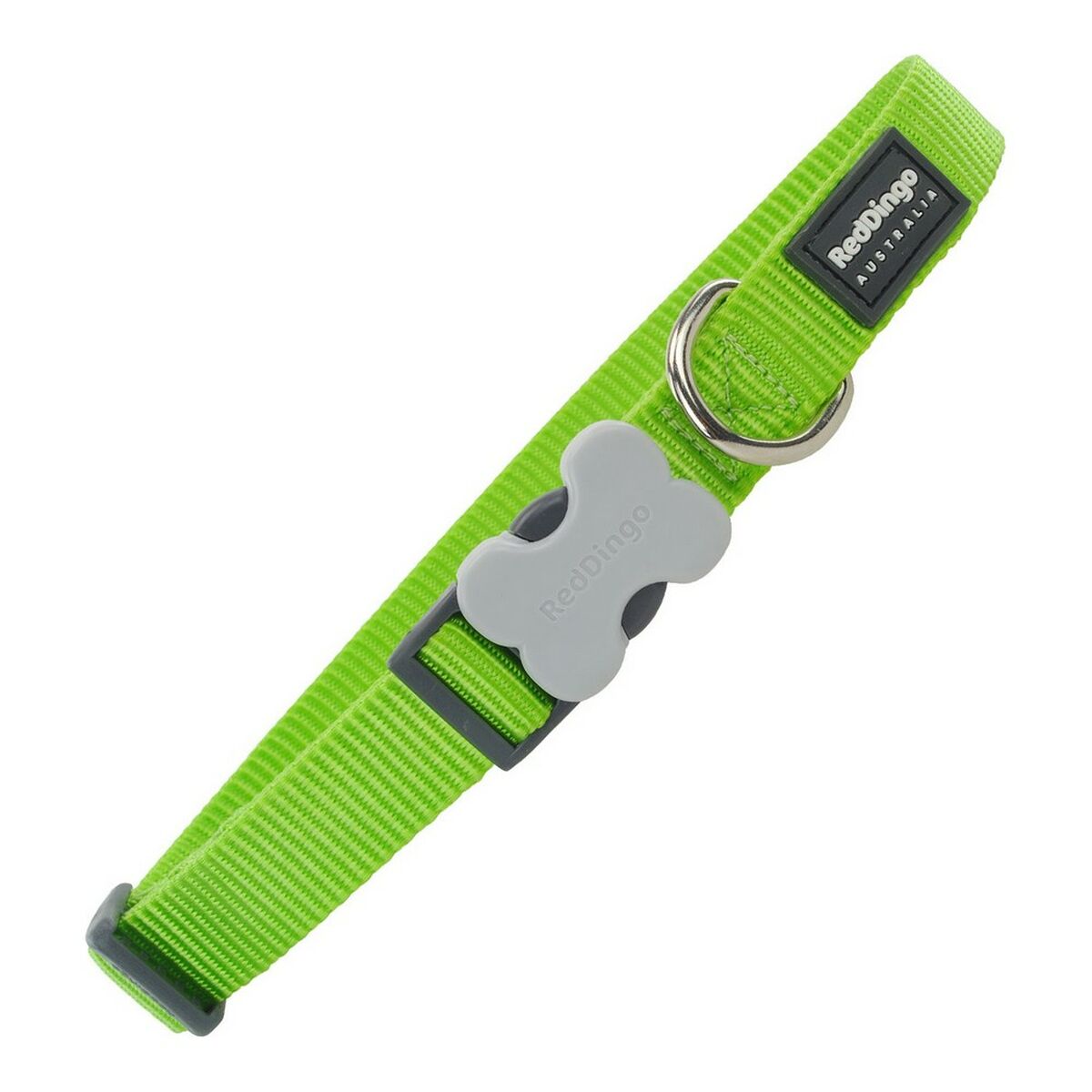 Dog collar Red Dingo Lime (2,5 x 41-63 cm) Dog collar Red Dingo Lime (2,5 x 41-63 cm)