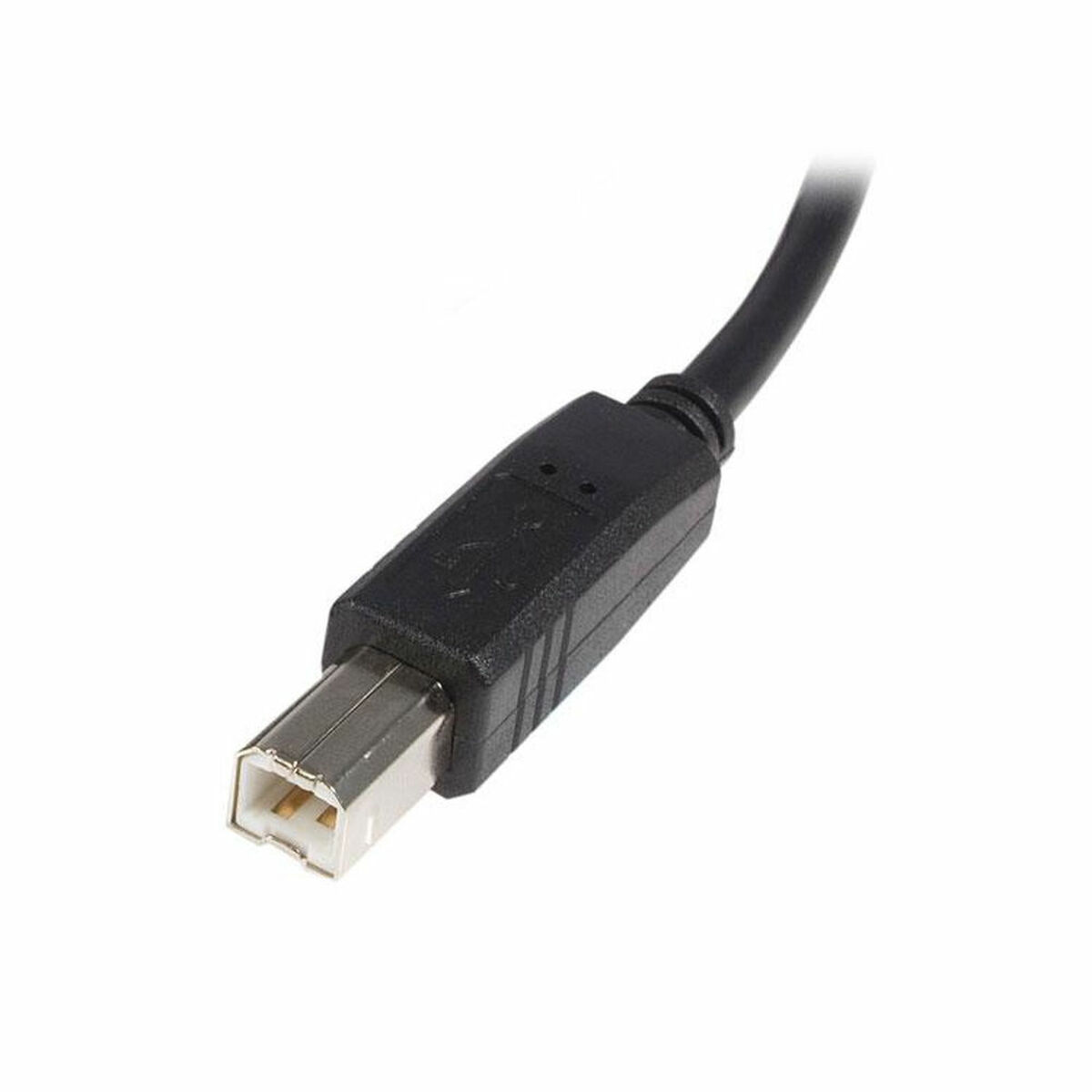USB A to USB B Cable Startech USB2HAB3M Black USB A to USB B Cable Startech USB2HAB3M Black