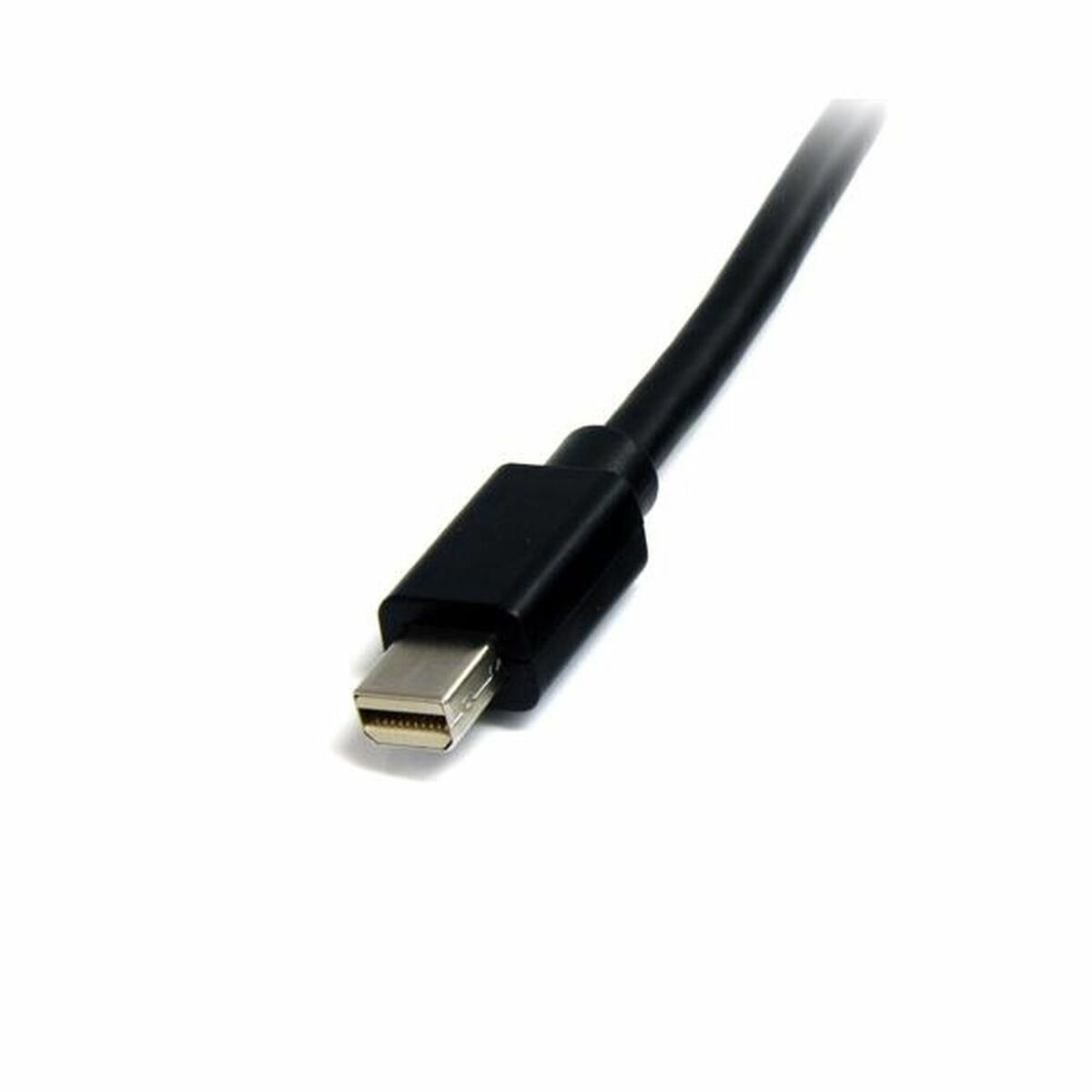 Mini Display Port cable Startech MDISP1M              1 m 4K Ultra HD Black