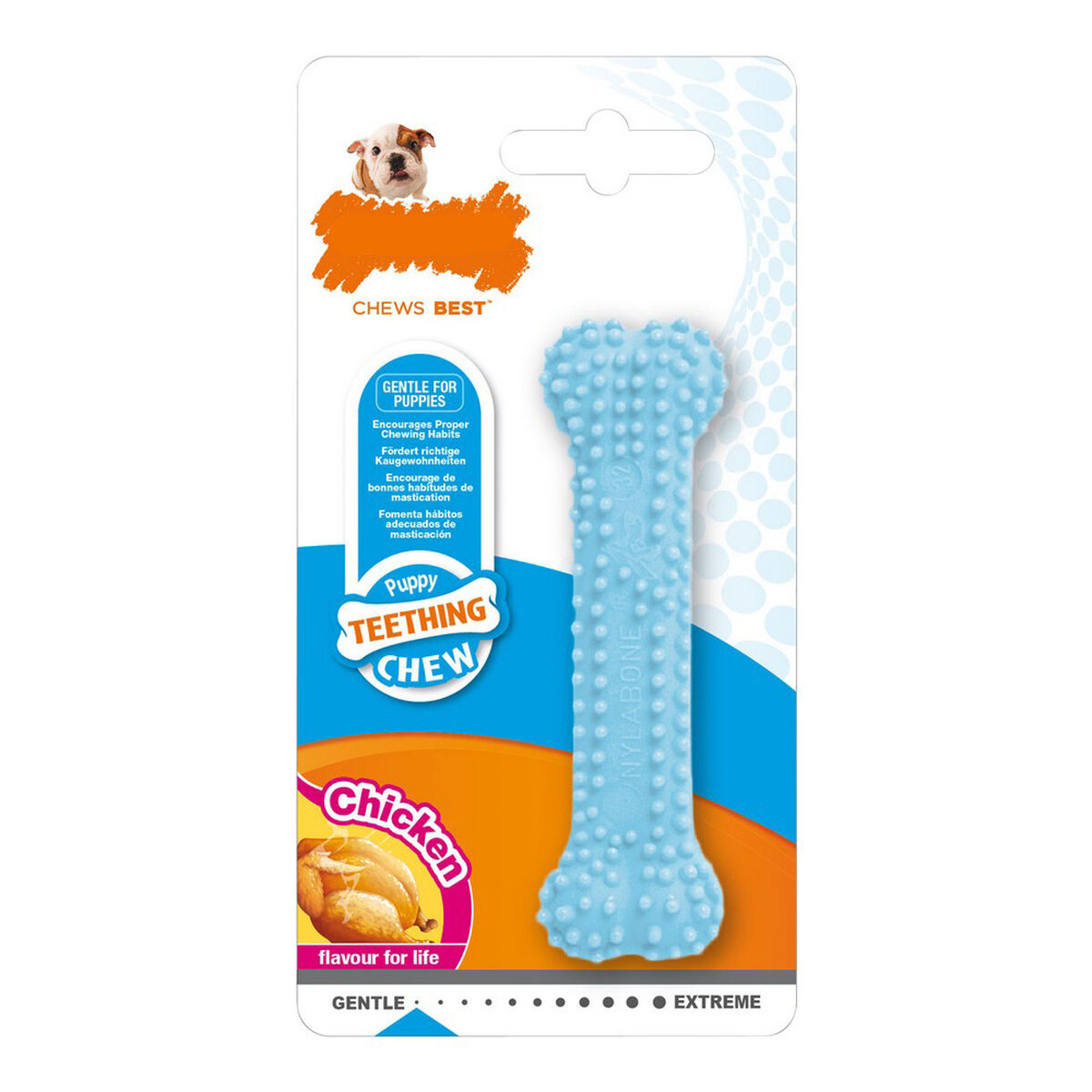 Dog chewing toy Nylabone Blue Chicken Thermoplastic XS size Puppies Dog chewing toy Nylabone Blue Chicken Thermoplastic XS size Puppies