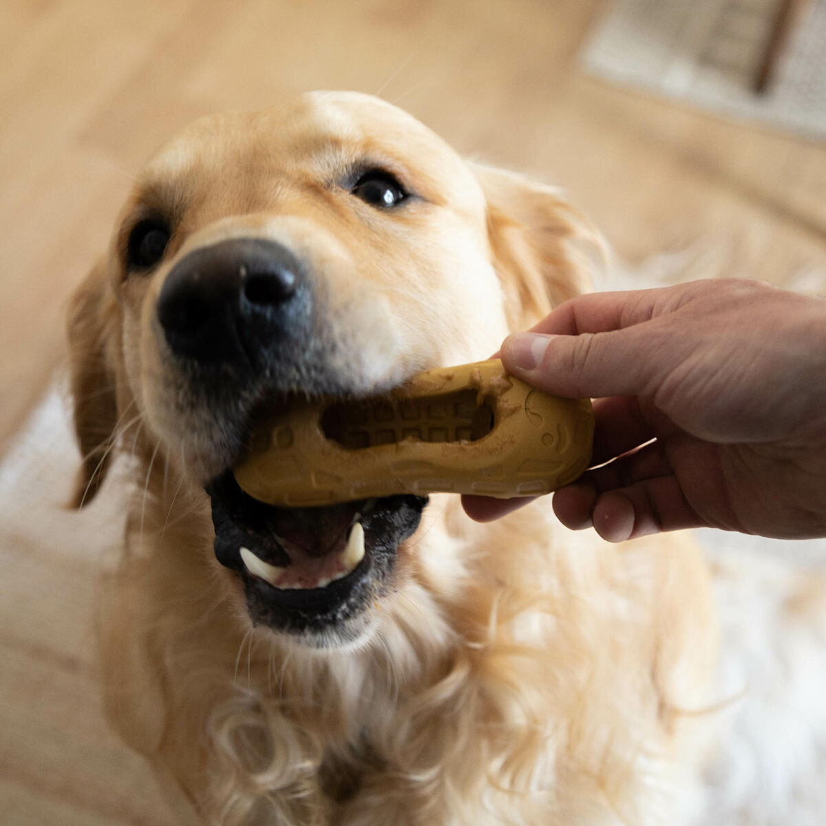 Dog toy Nylabone Brown Peanut butter M