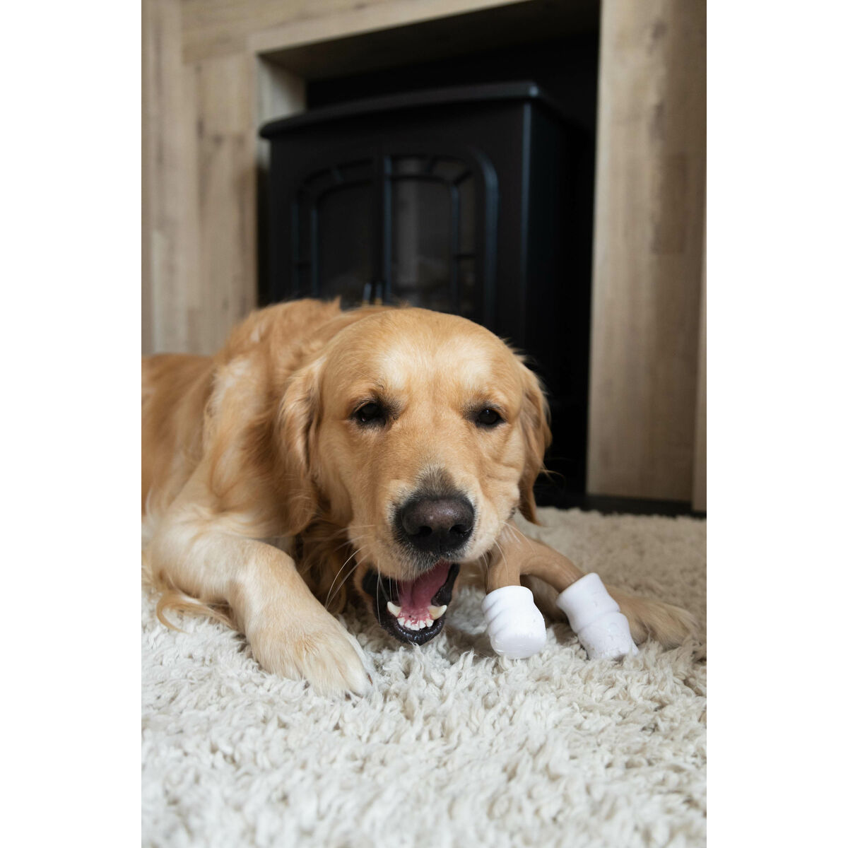 Dog toy Nylabone Brown Peanut butter L