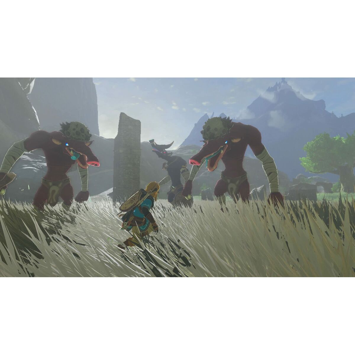 Video game for Switch Nintendo TLOZ TEA OFTKIN