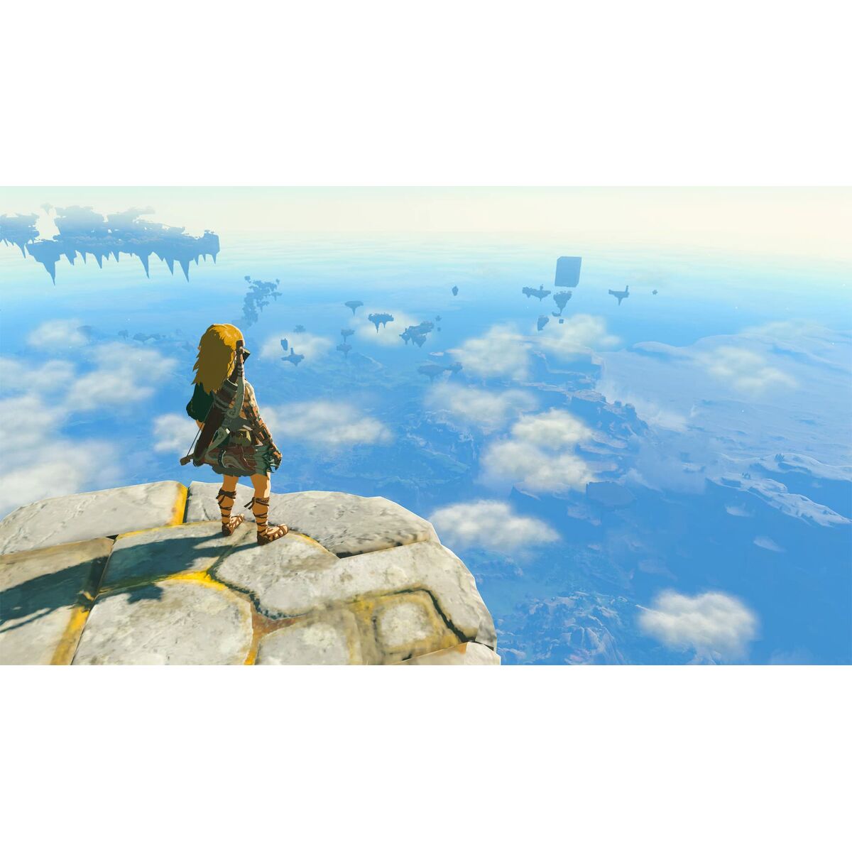 Video game for Switch Nintendo TLOZ TEA OFTKIN