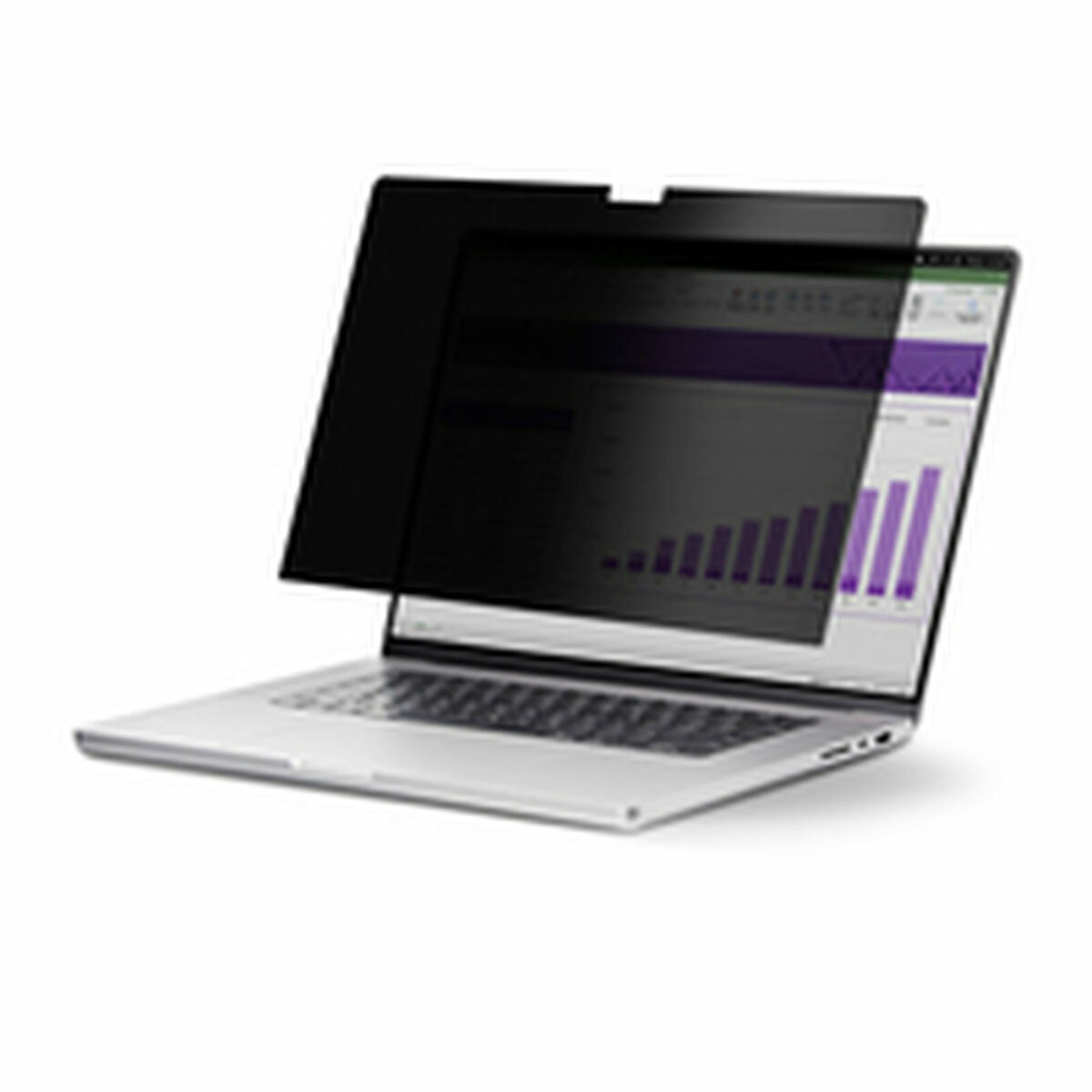 Notebook Stand Startech 141T6-PRIVACY-SCREEN Plastic