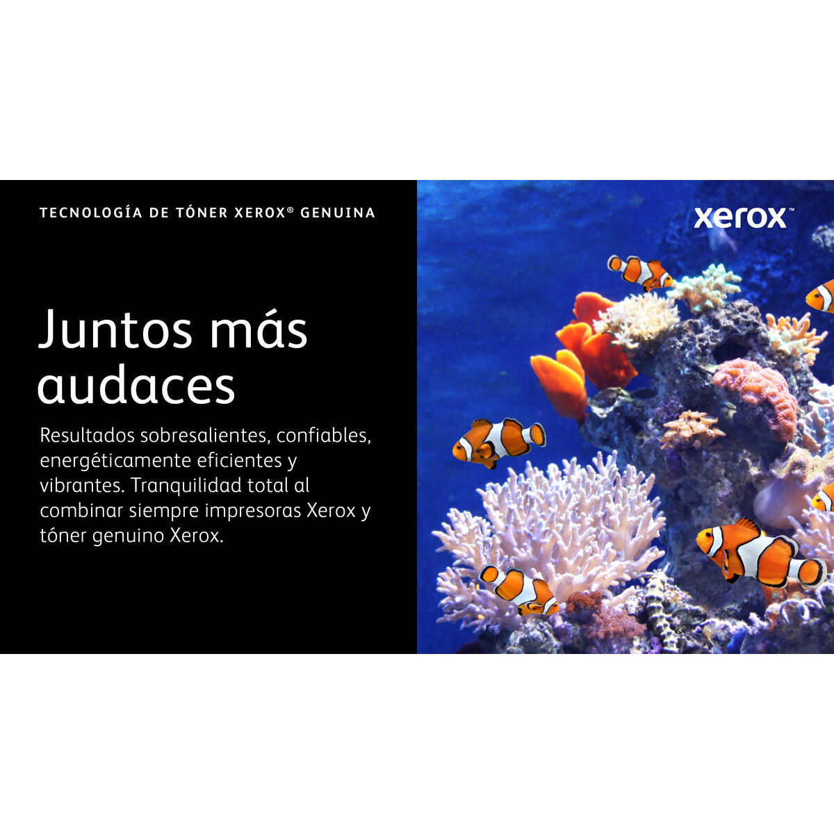 Original Toner Xerox 006R04624 Black