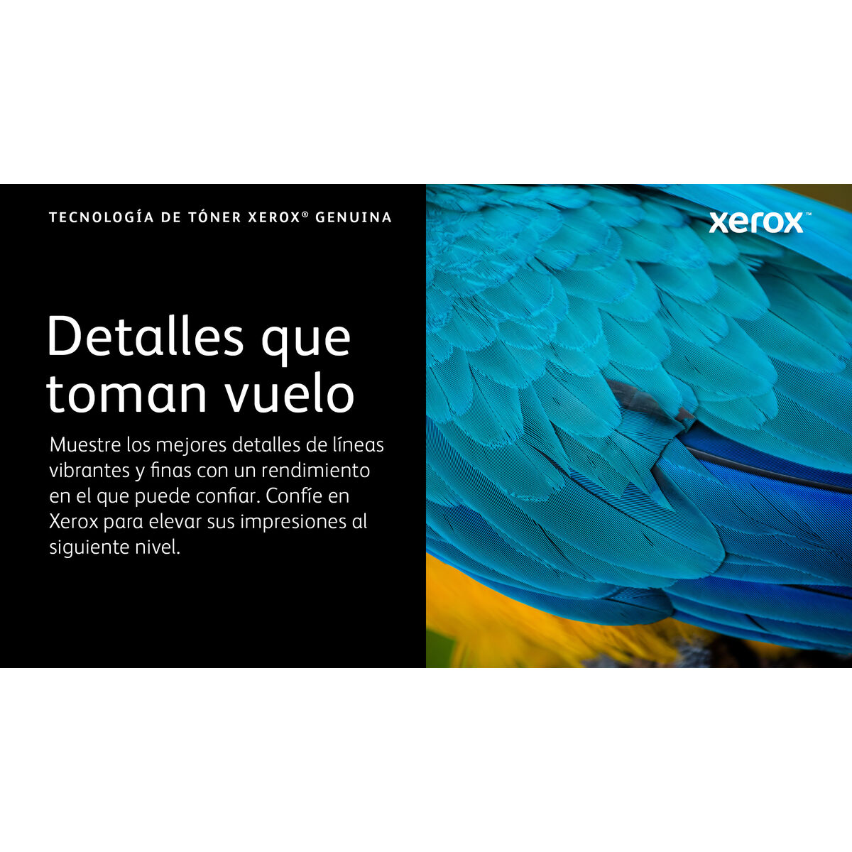 Original Toner Xerox 006R04624 Black
