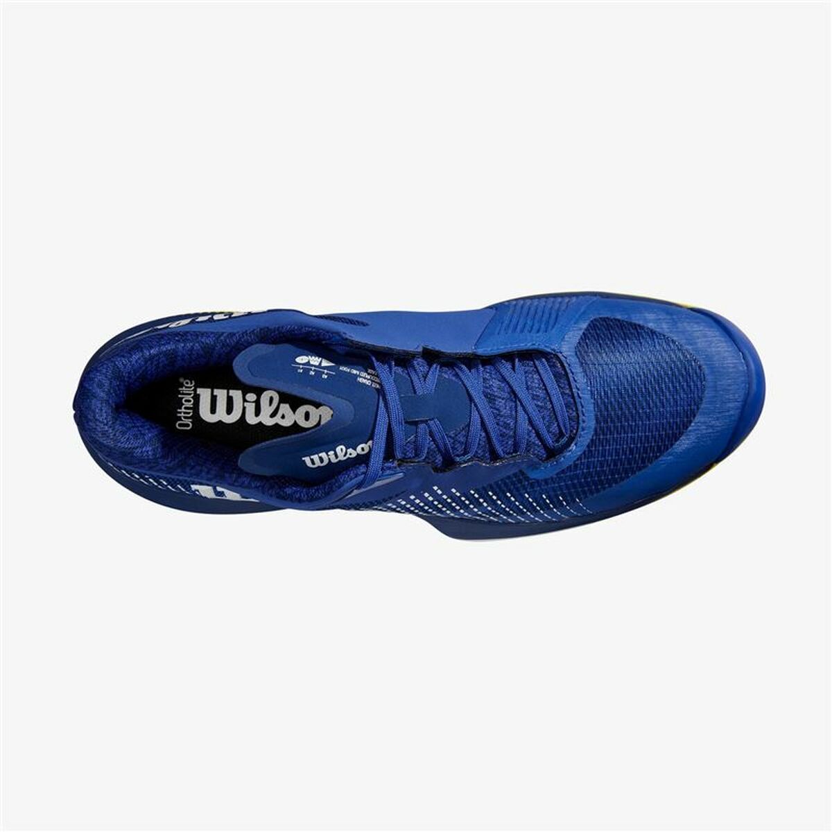 Men’s Tennis Shoes Wilson Kaos Swift Clay 2024 Blue