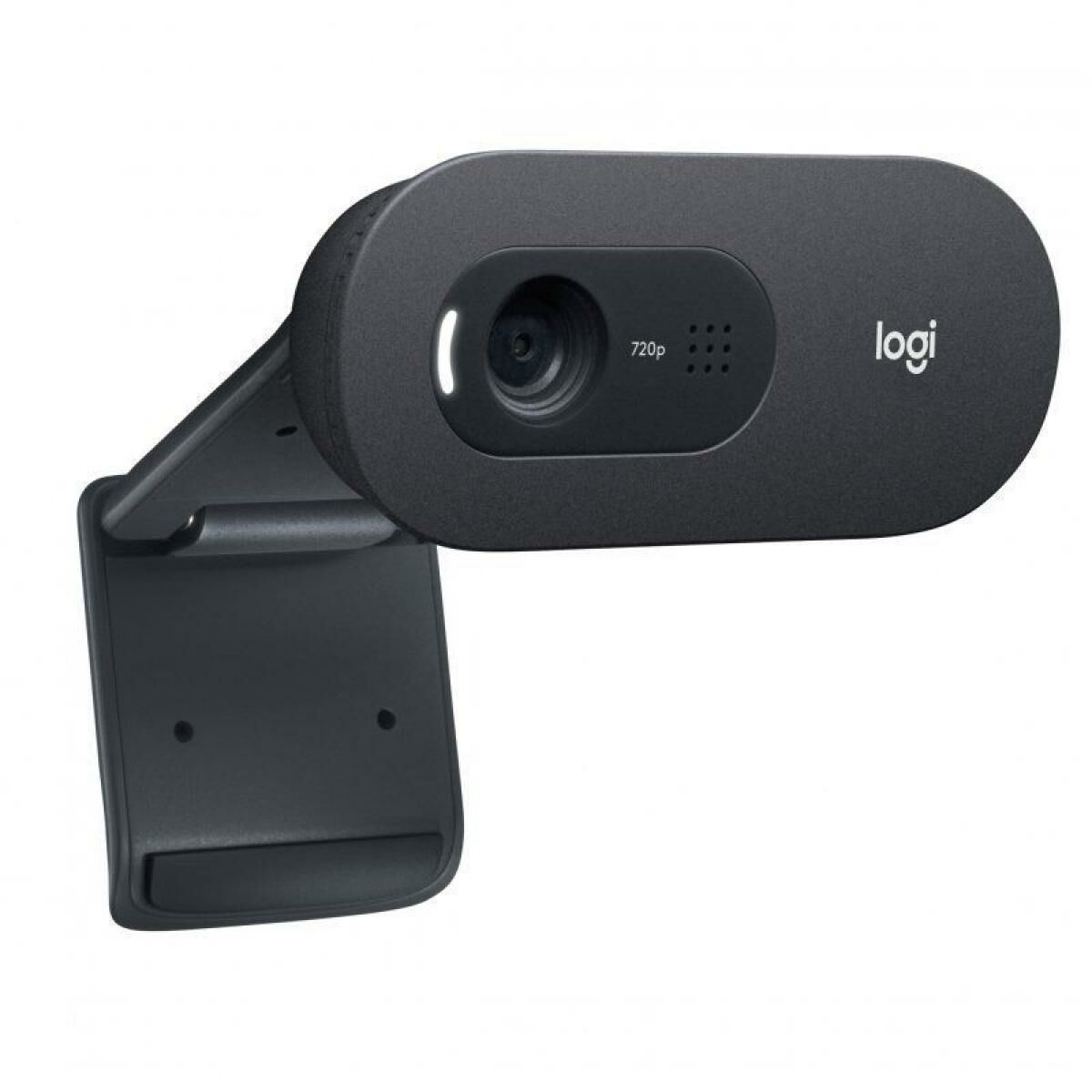 Webcam Logitech C505e Black