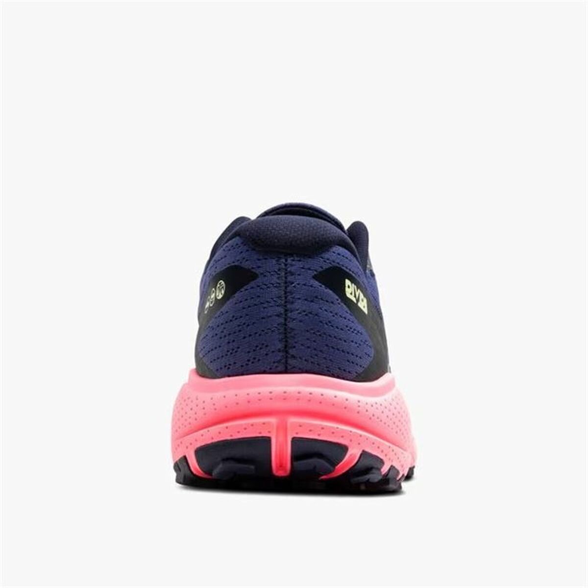Sports Trainers for Women Brooks Divide 5 GTX Pink