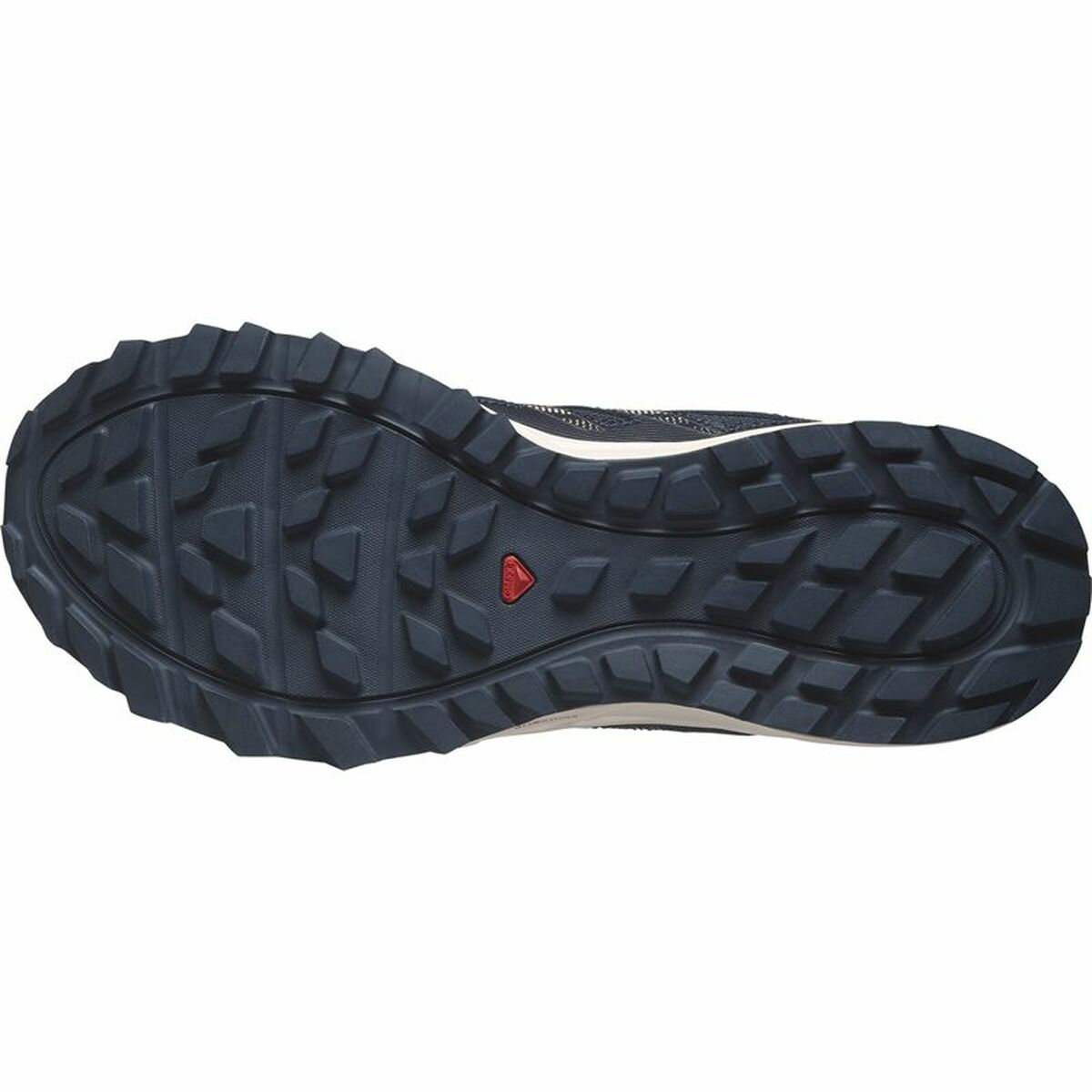 Men’s Trainers Salomon Wander