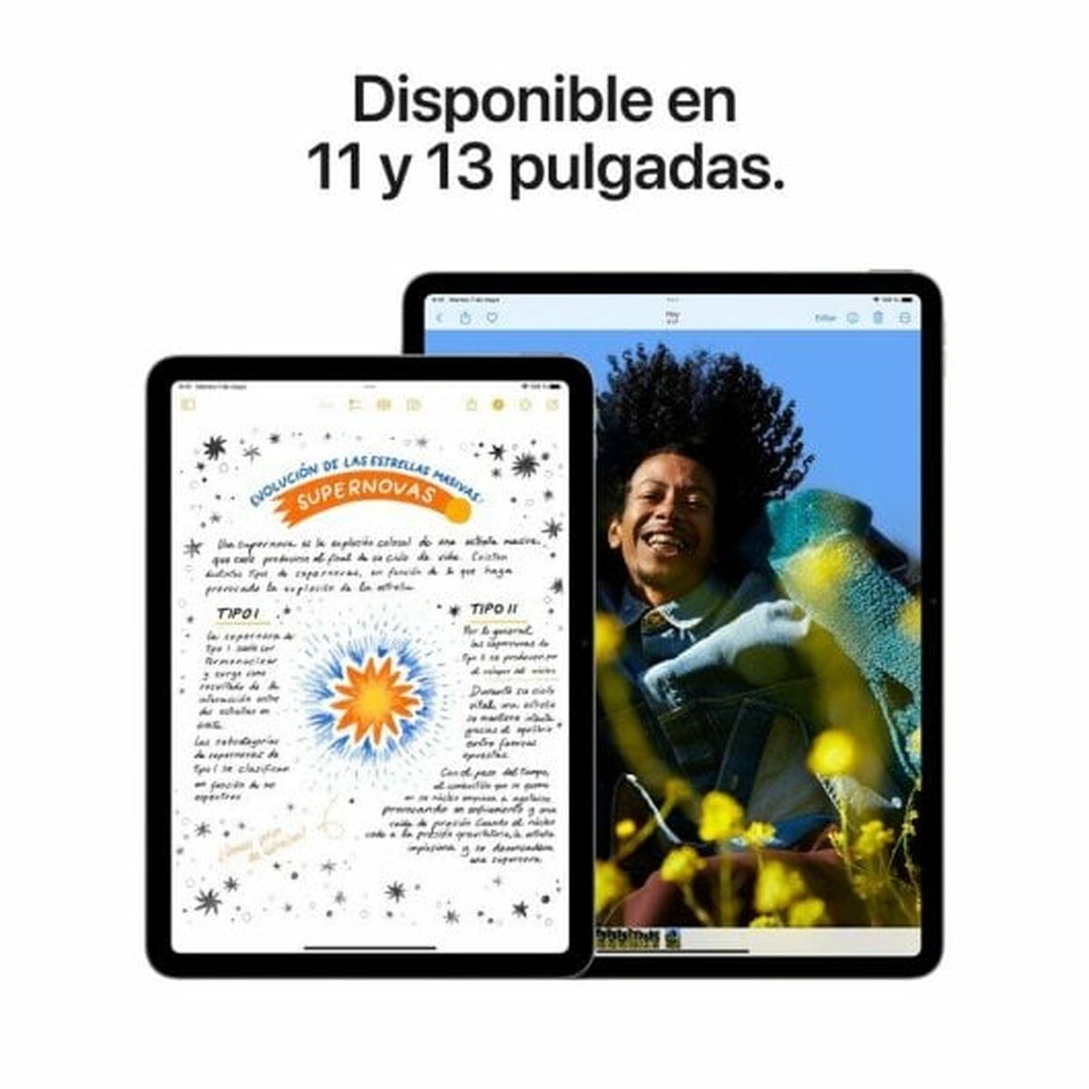 Tablet Apple iPad Air 2024 13″ M2 8 GB RAM 128 GB Purple