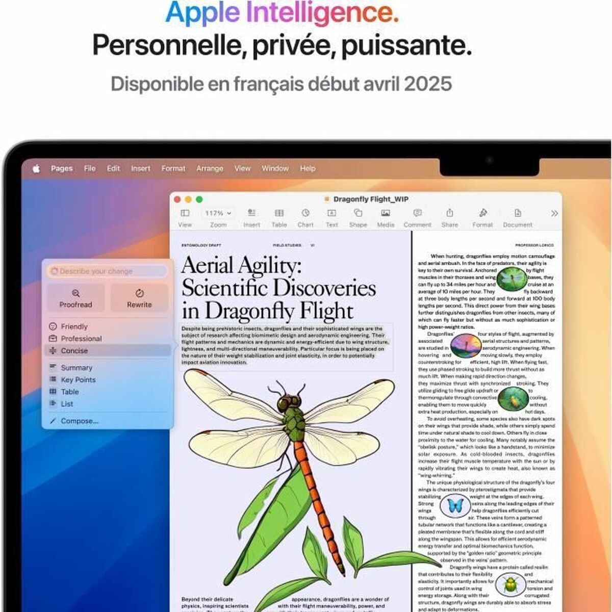 Laptop Apple SSD 15,3″ M4 16 GB RAM