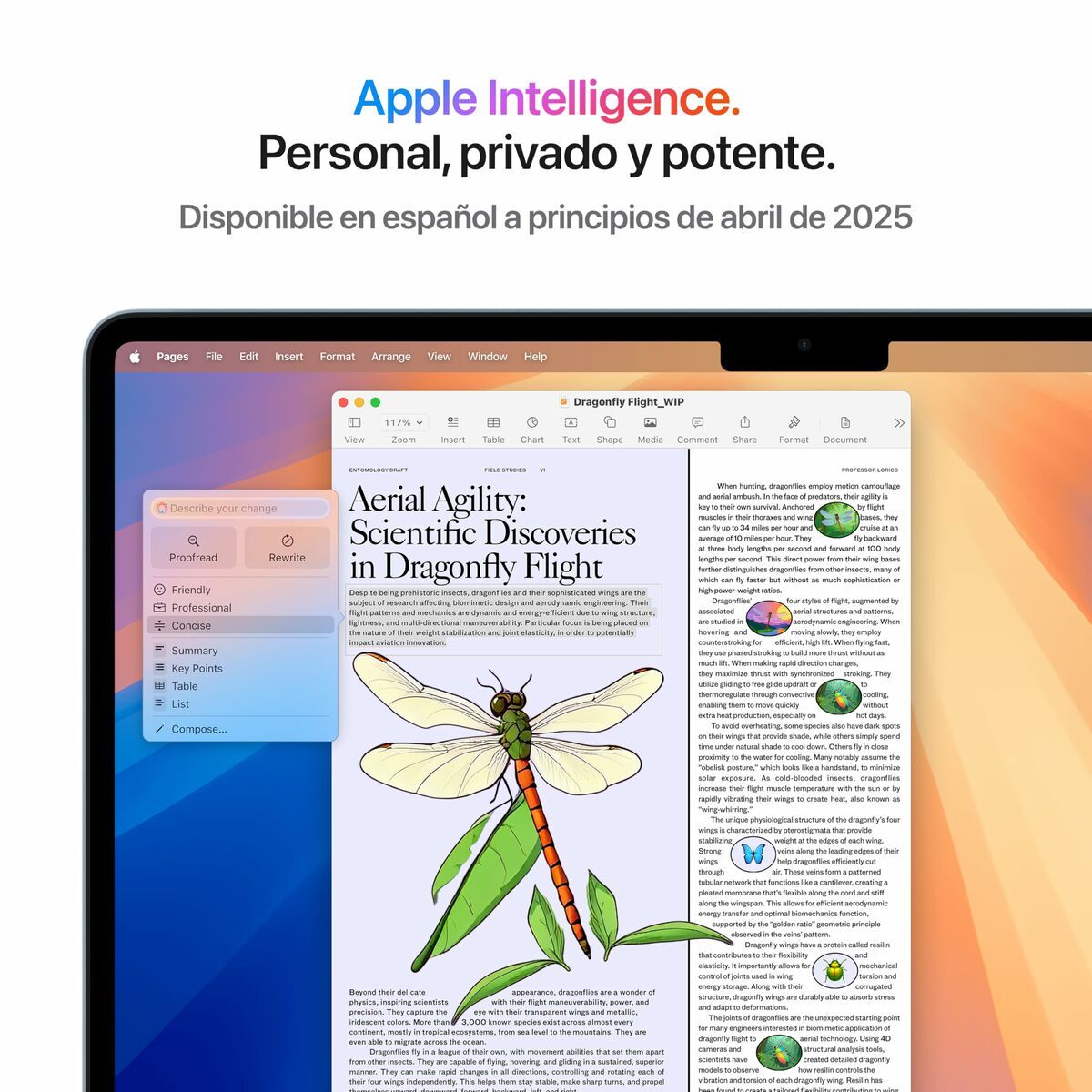 Laptop Apple MacBook Air 13,6″ M4 16 GB RAM 256 GB SSD