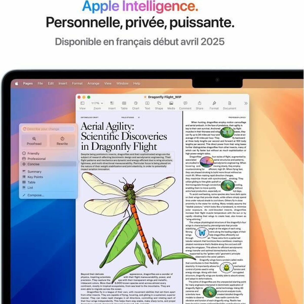 Laptop Apple MacBook Air M4 SSD 13,6″ M4 24 GB RAM