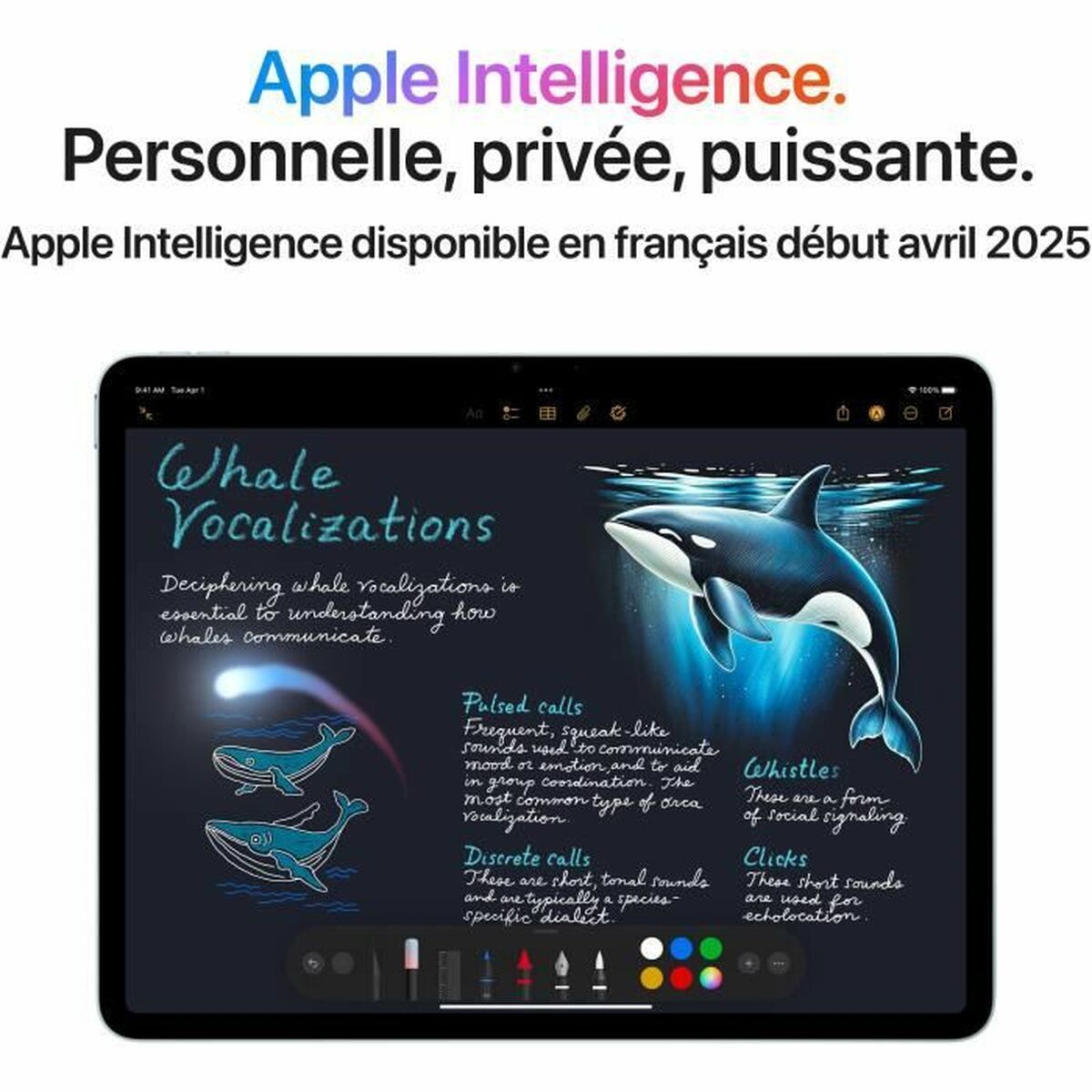 Tablet Apple iPad Air M3 (2025) 13″ M3 8 GB RAM 256 GB Grey