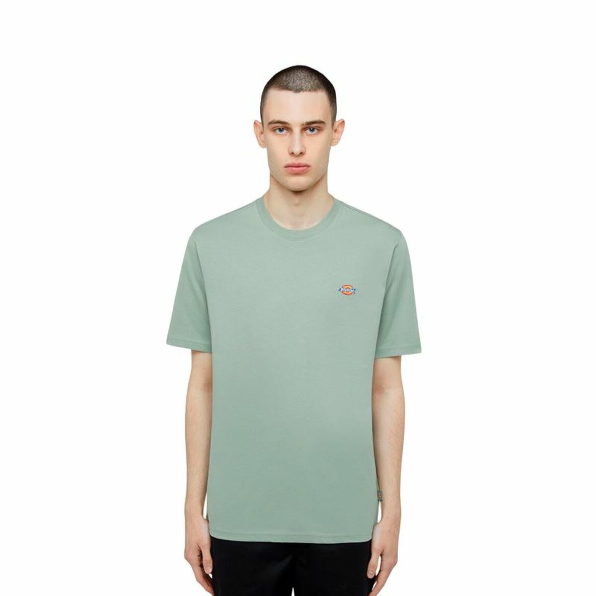 Menâs Short Sleeve T-Shirt Dickies Ss Mapleton Tee Green Menâs Short Sleeve T-Shirt Dickies Ss Mapleton Tee Green
