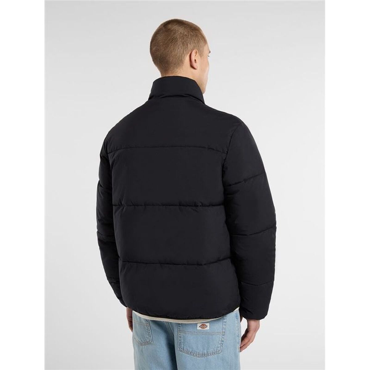 Jacket Dickies Summerdale Puffer Black