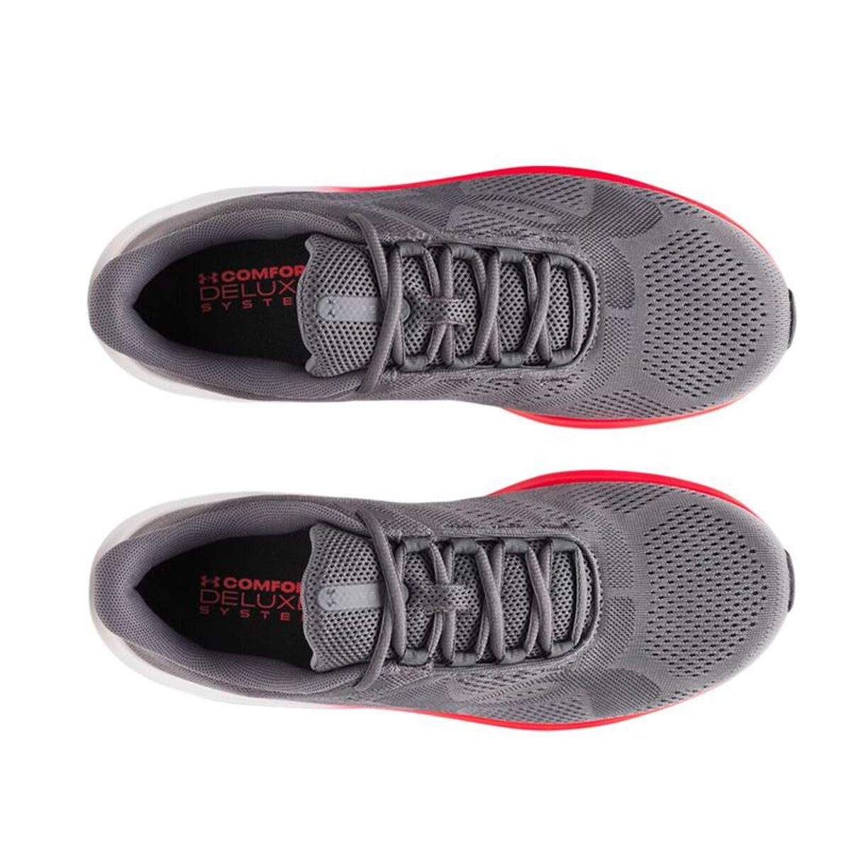 Running Shoes for Adults Under Armour Charged Grey