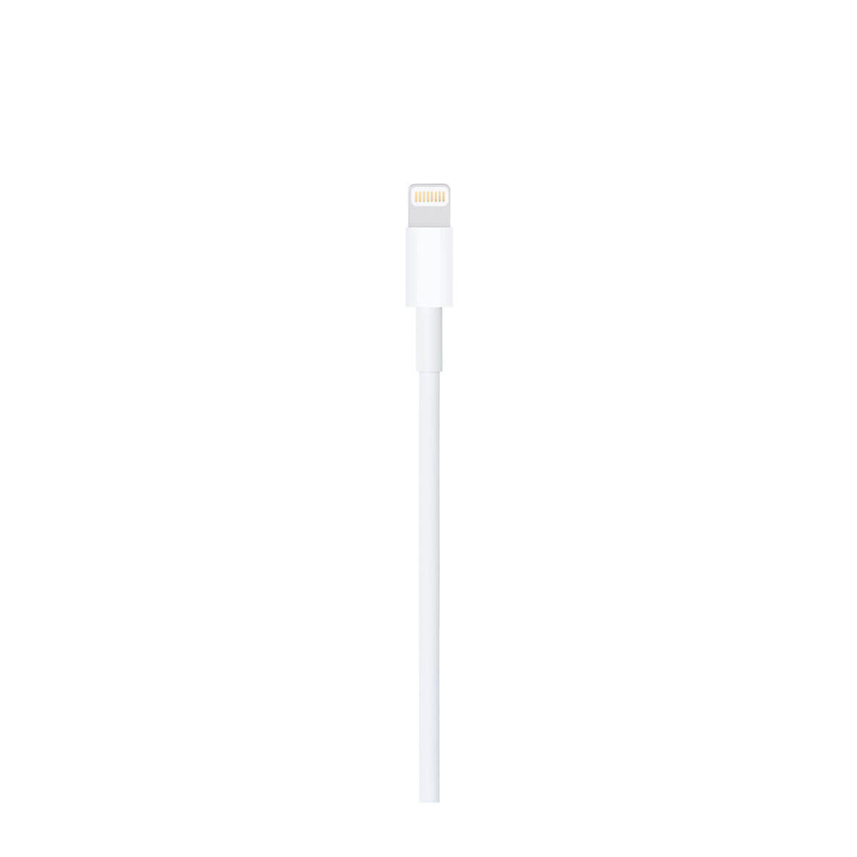 USB to Lightning Cable Apple MXLY2ZM/A White 1 m