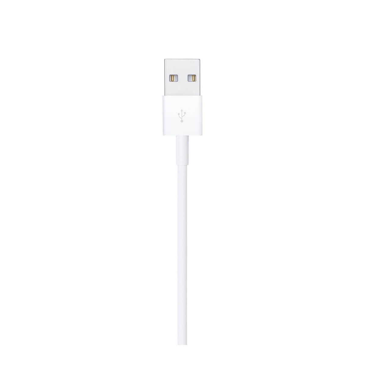 USB to Lightning Cable Apple MXLY2ZM/A White 1 m