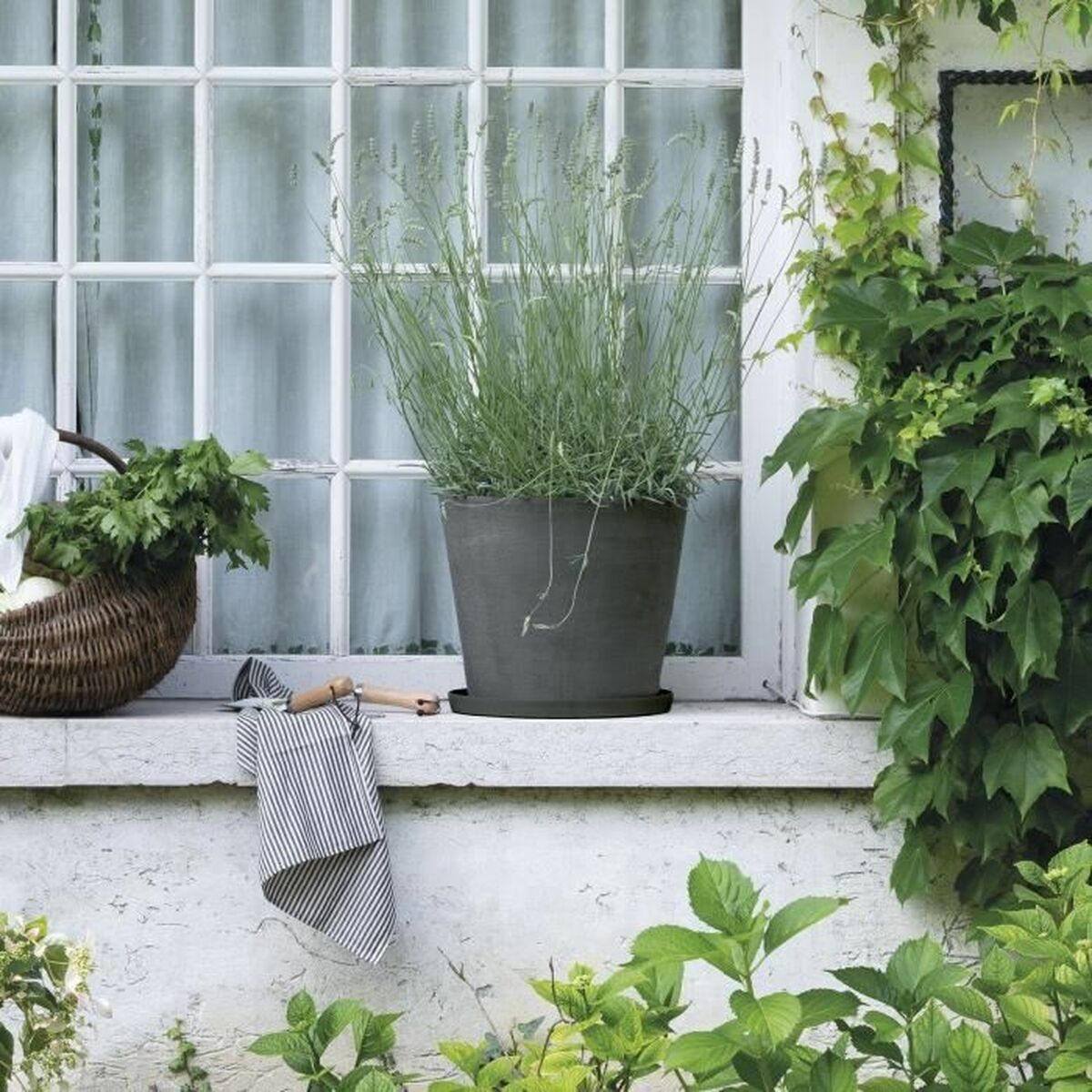 Flower Pot Dish Deroma