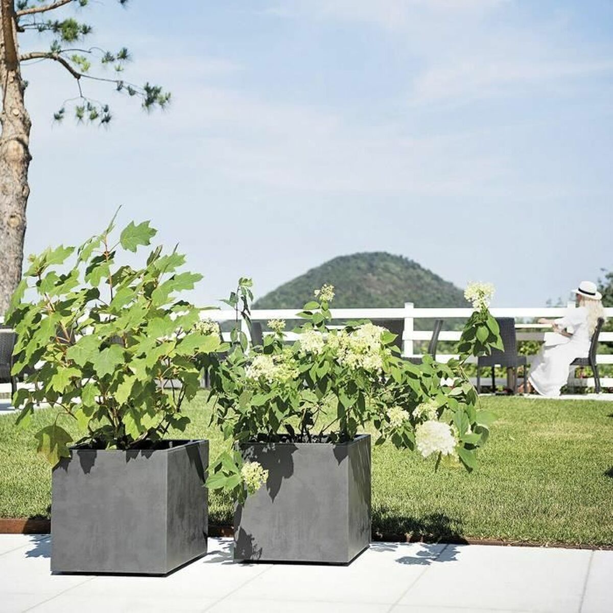 Plant pot Deroma