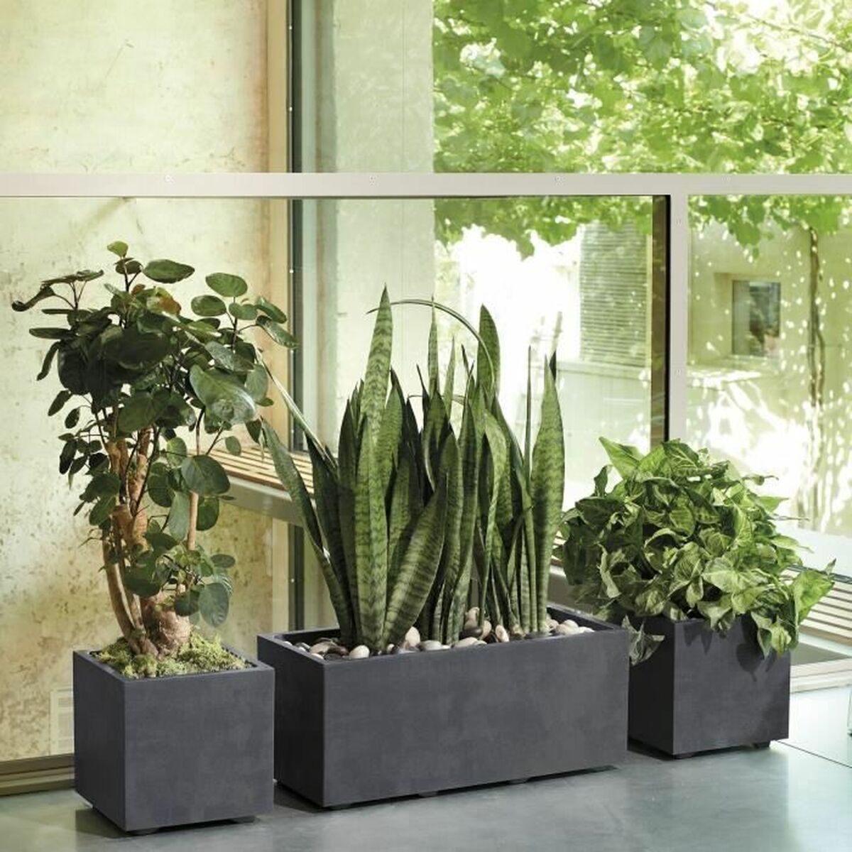 Plant pot Deroma Anthracite 25 cm Plastic Squared Bucket  25 cm