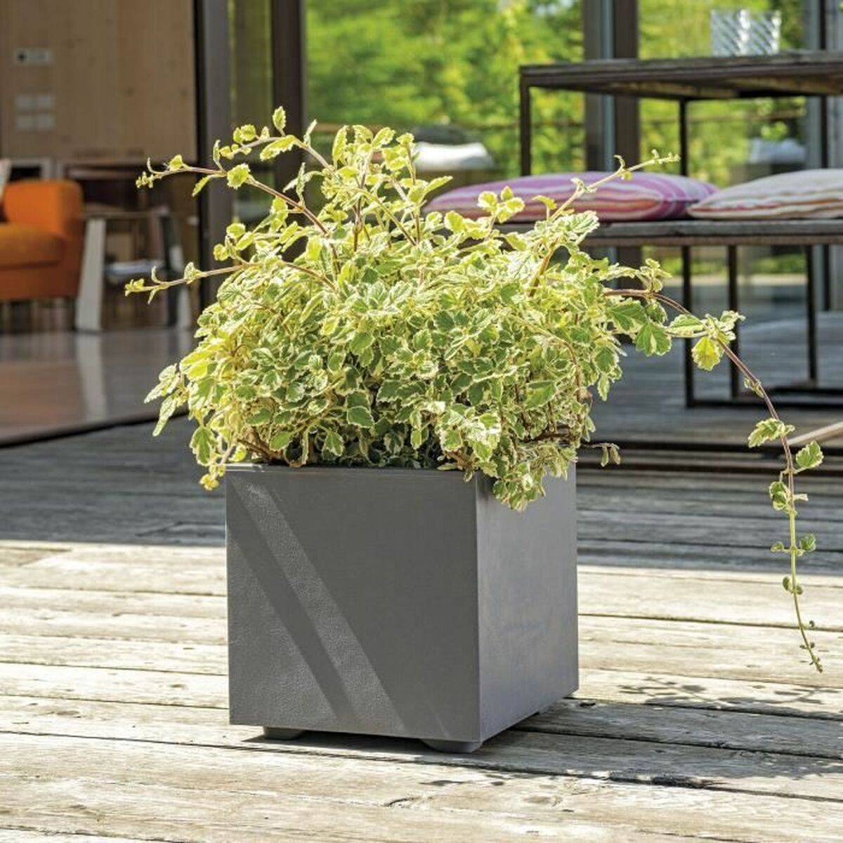 Plant pot Deroma Anthracite 25 cm Plastic Squared Bucket  25 cm