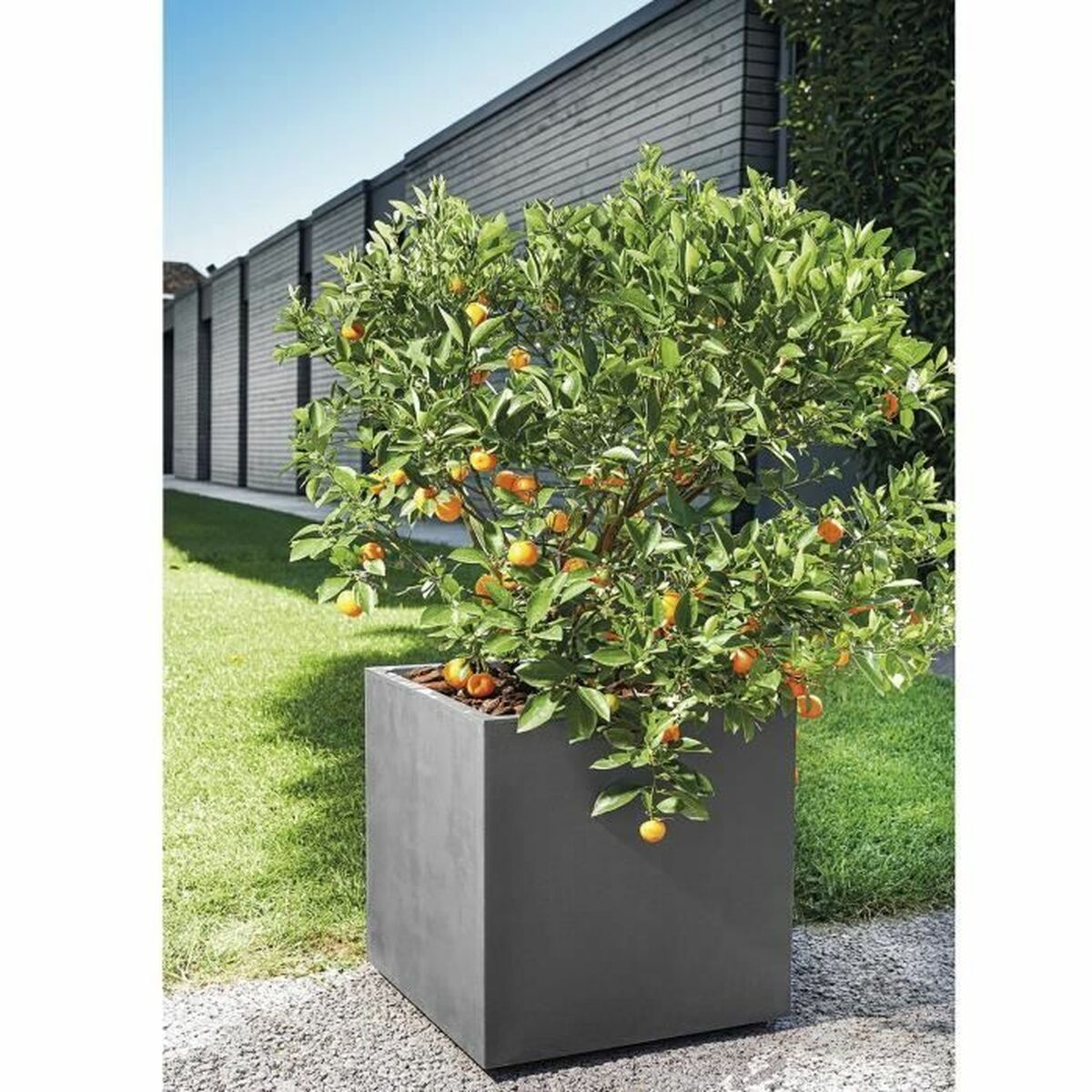 Plant pot Deroma