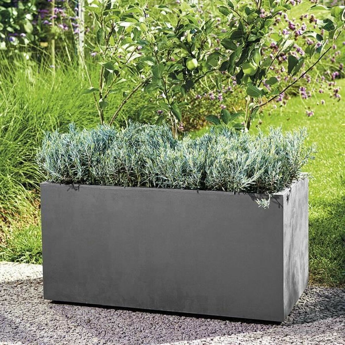 Self-watering planter Deroma Anthracite 79 cm Plastic Rectangular