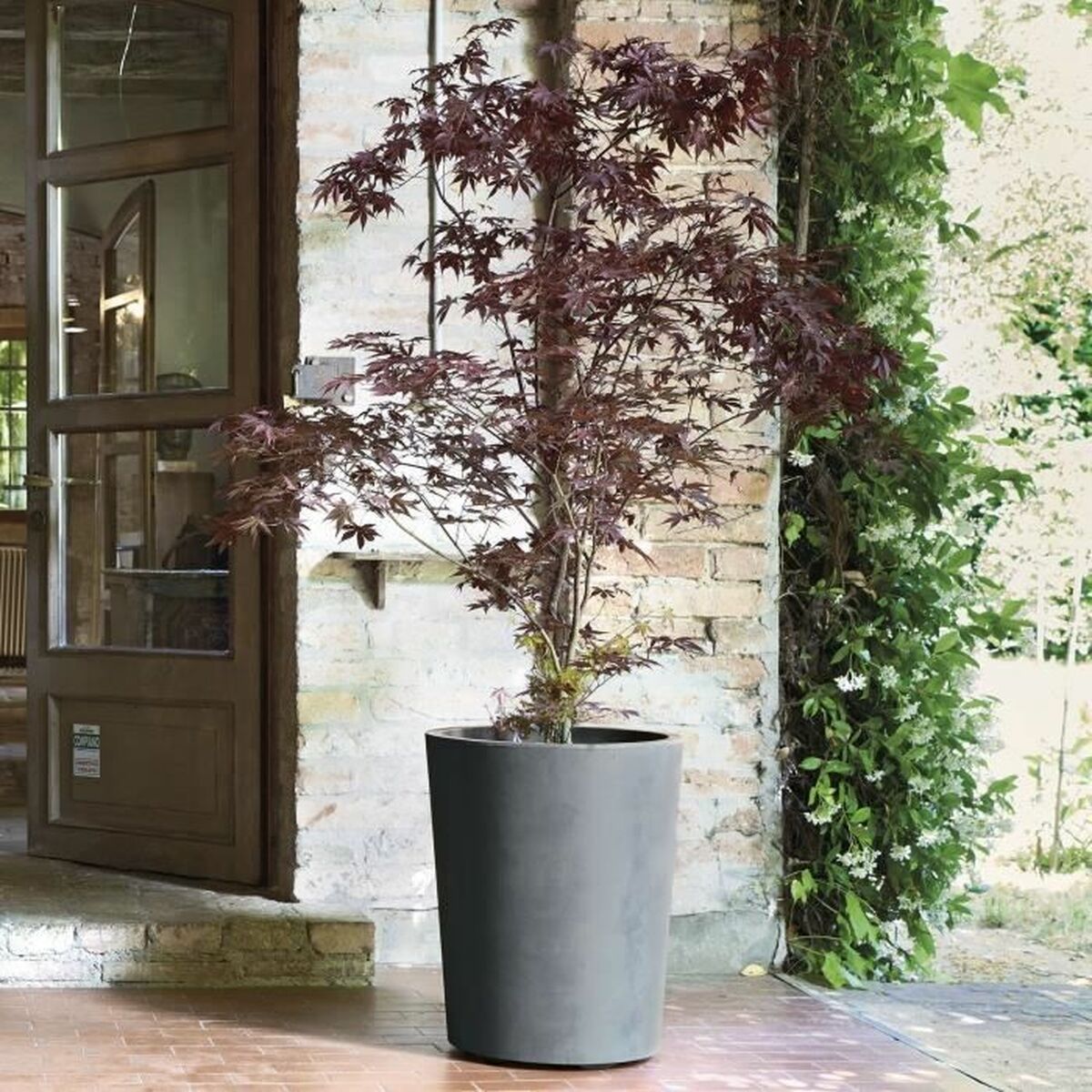 Plant pot Deroma Grey Plastic Circular Cylinder
