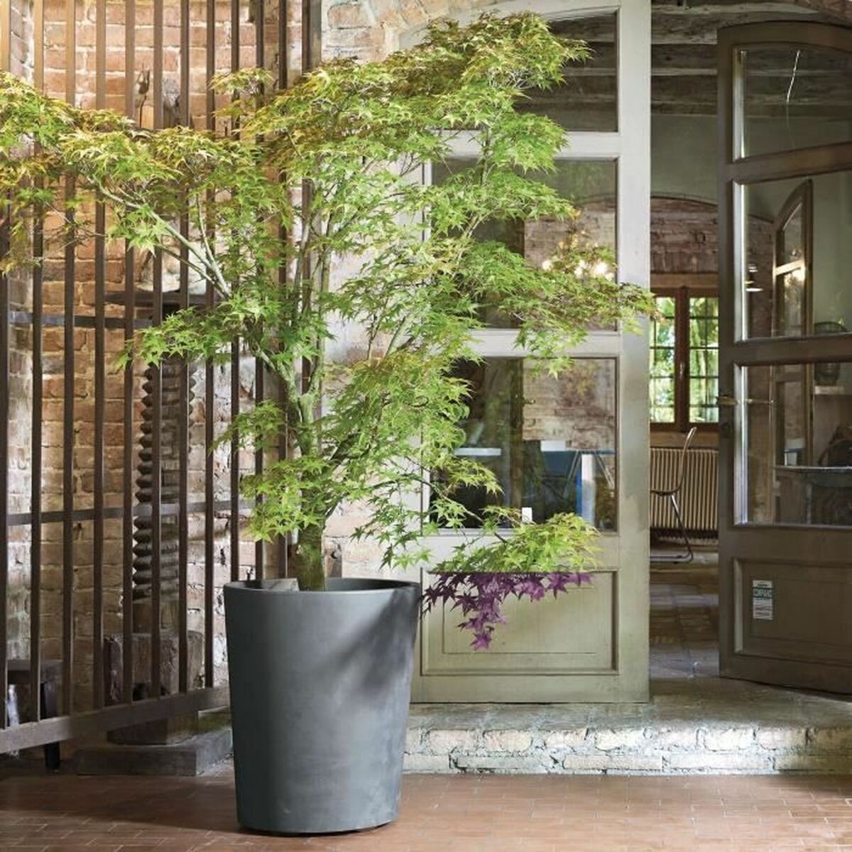 Plant pot Deroma Grey Plastic Circular Cylinder