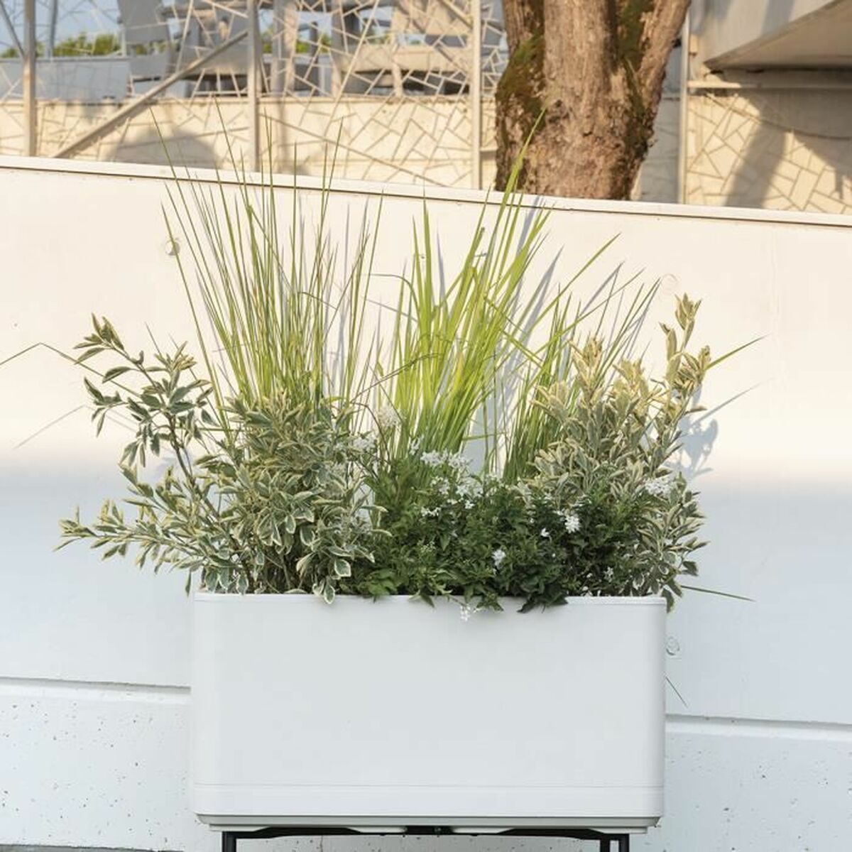 Self-watering planter Deroma Pearl 78 x 38 x 39 cm Plastic Rectangular  78 cm