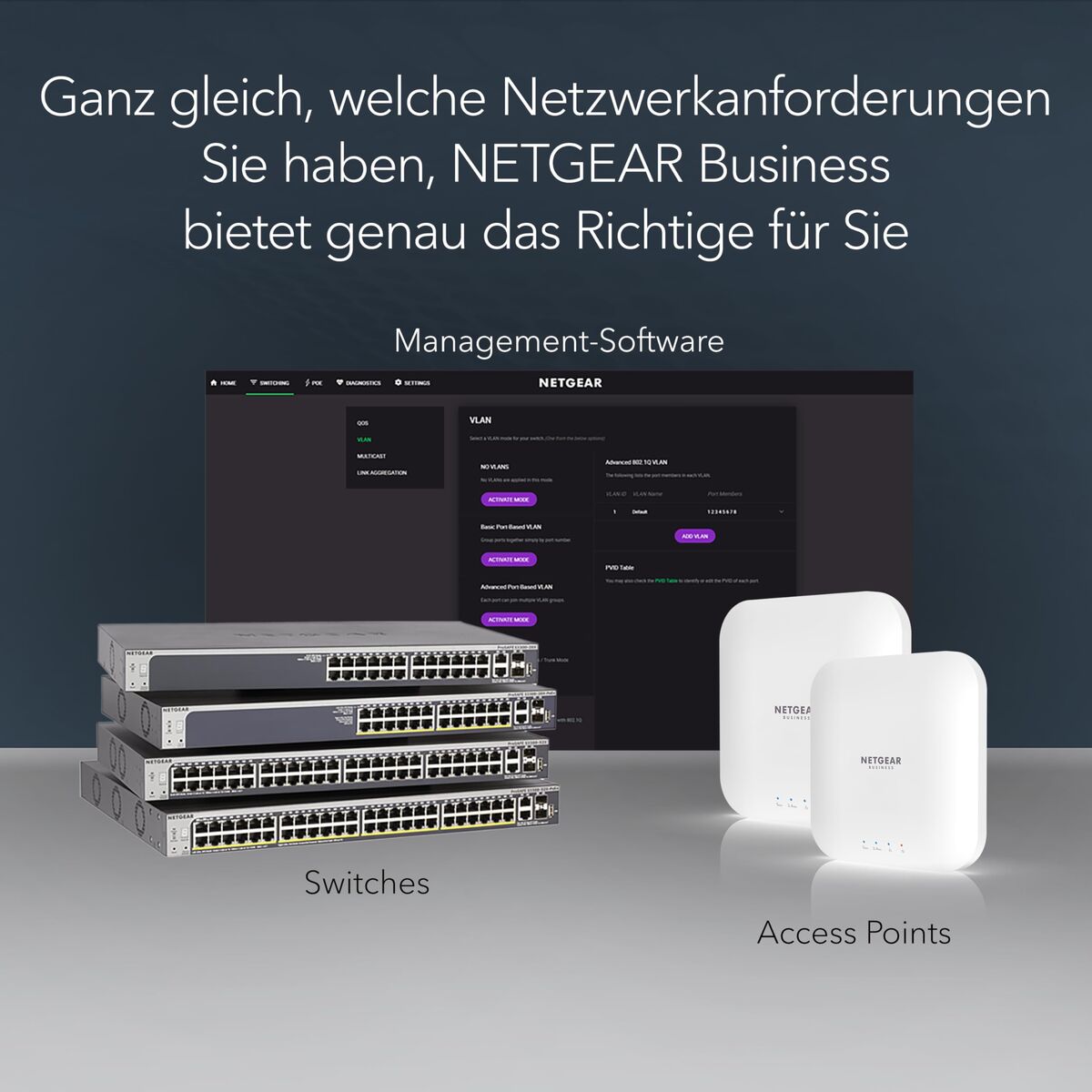 Switch Netgear GS116-300EUS