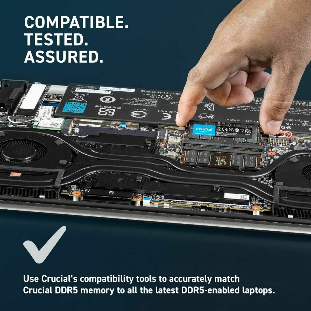 RAM Memory Crucial CT8G56C46S5 8 GB DDR5 5600 MHz CL46