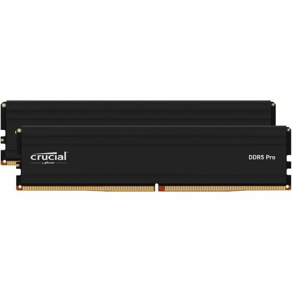 RAM Memory Crucial CP2K24G60C48U5 DDR5 48 GB
