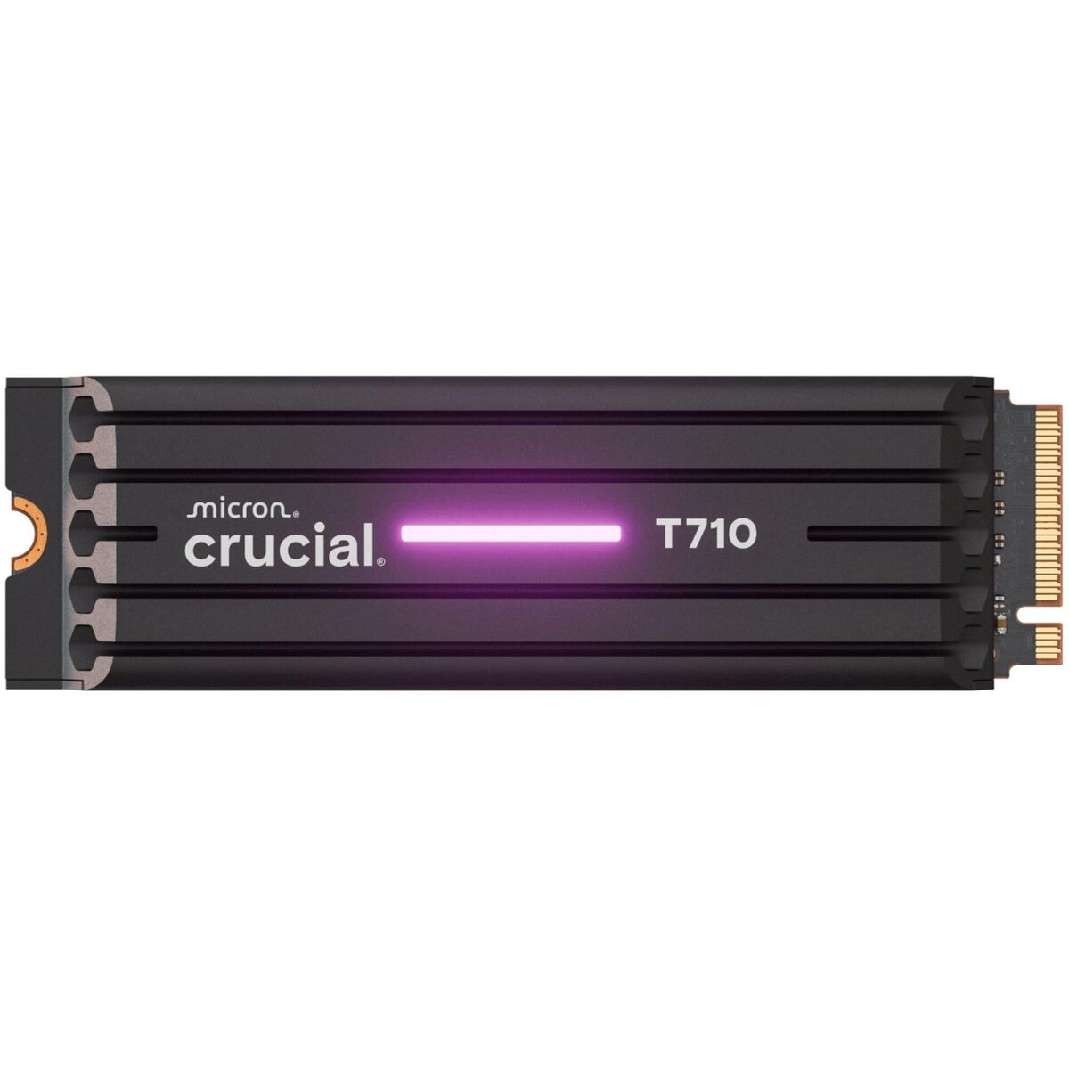 Hard Drive Crucial CT1000T710SSD5