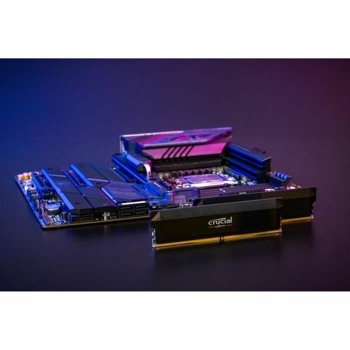 RAM Memory Crucial PC5-48000C40 64 GB DDR5 6400 MHz CL40
