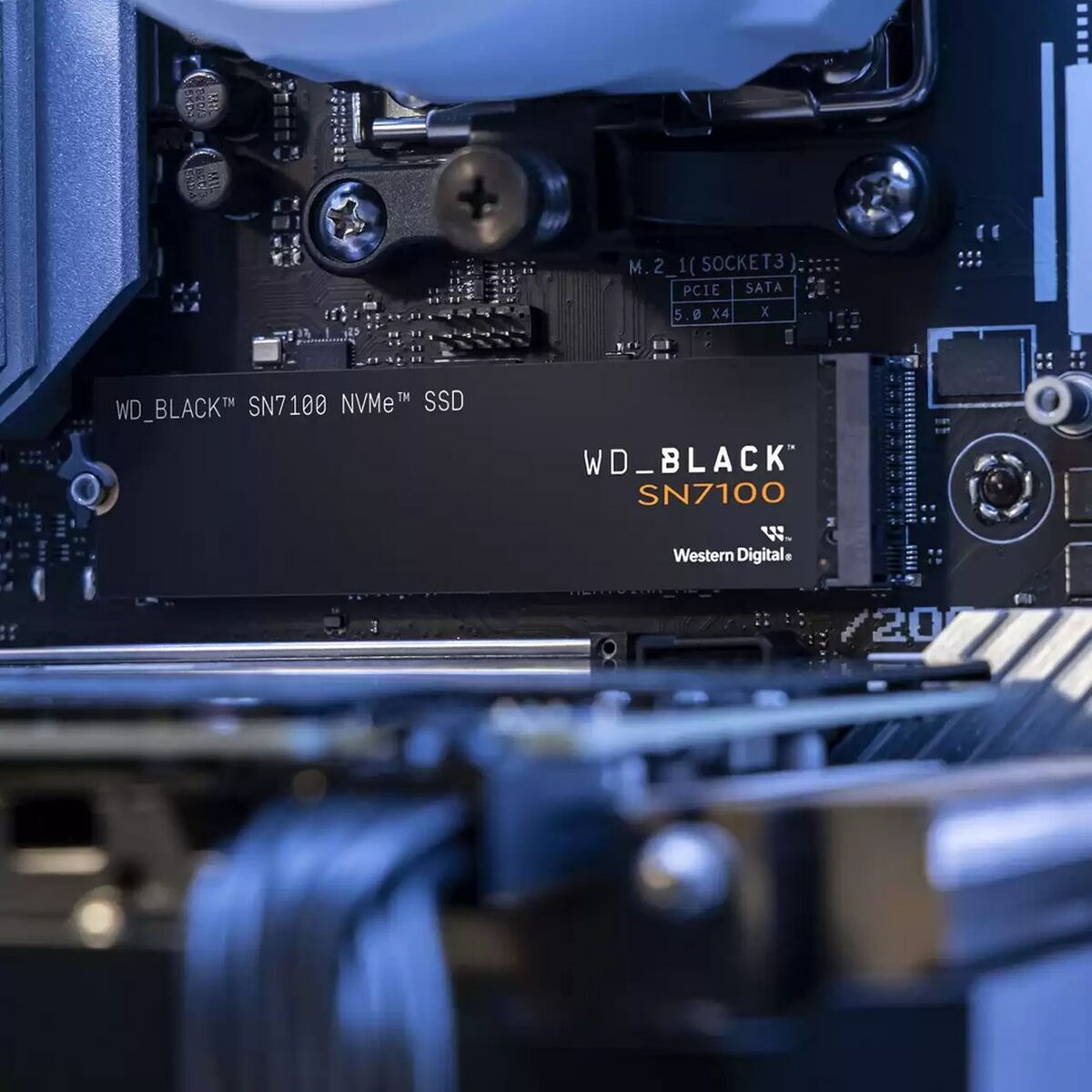 Hard Drive Western Digital WDS400T4X0E 4 TB SSD