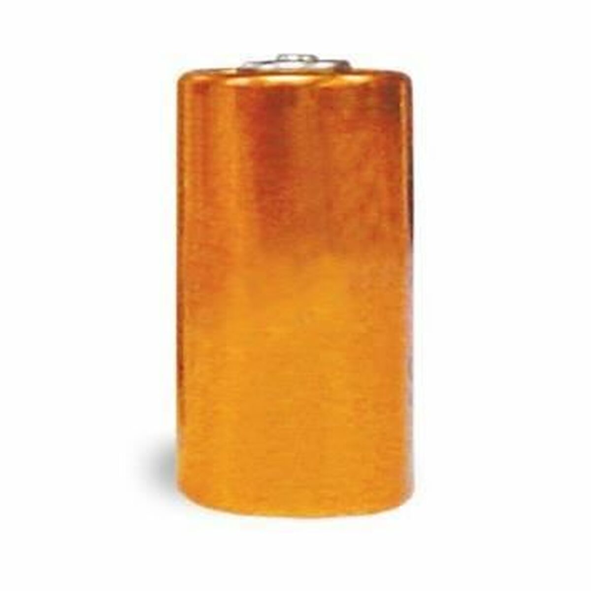 Alkaline Battery PetSafe 6 V No Alkaline Battery PetSafe 6 V No